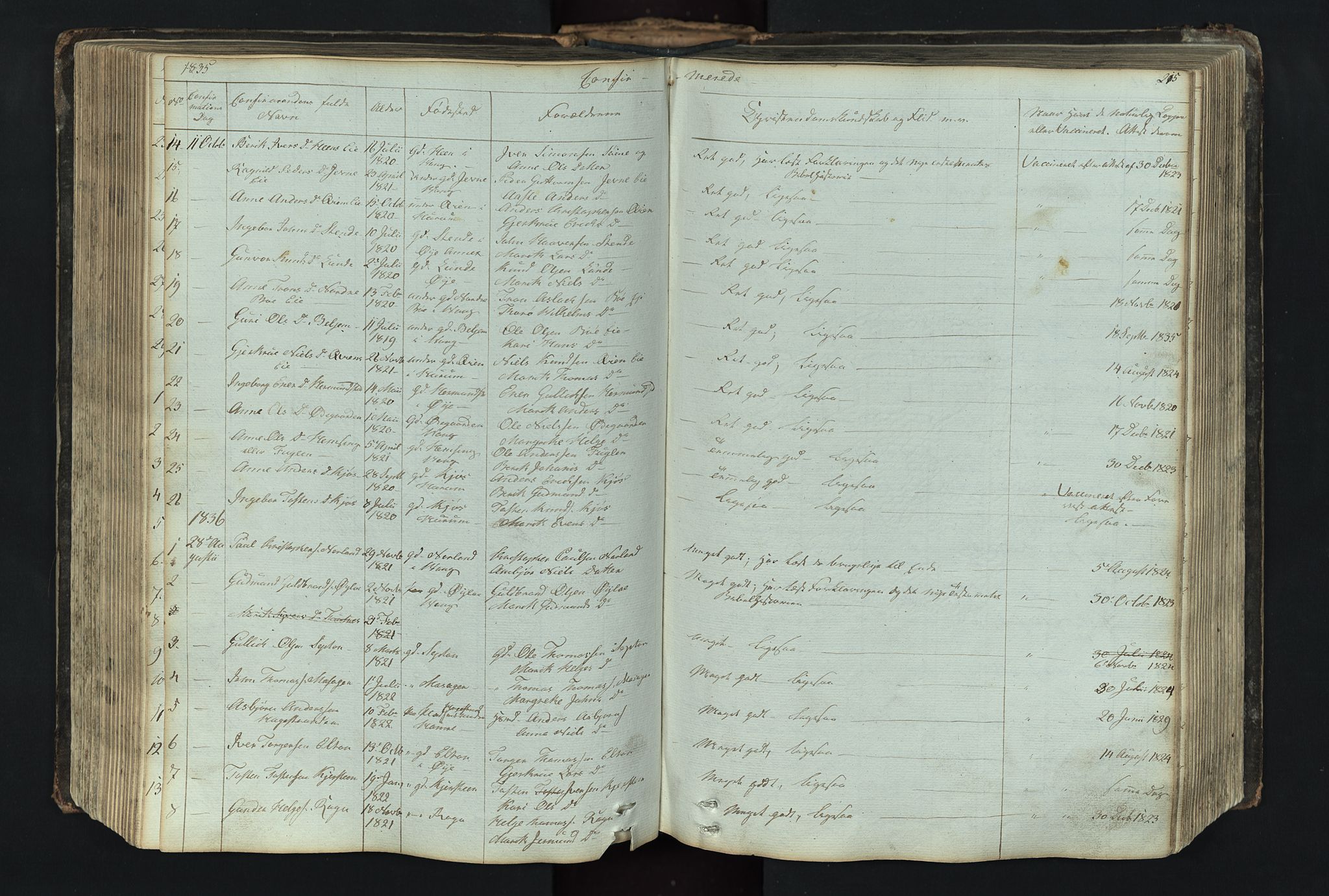 Vang prestekontor, Valdres, SAH/PREST-140/H/Hb/L0004: Parish register (copy) no. 4, 1835-1892, p. 215