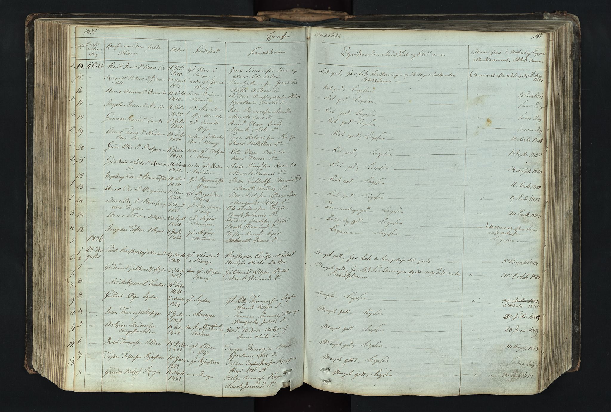 Vang prestekontor, Valdres, AV/SAH-PREST-140/H/Hb/L0004: Parish register (copy) no. 4, 1835-1892, p. 215