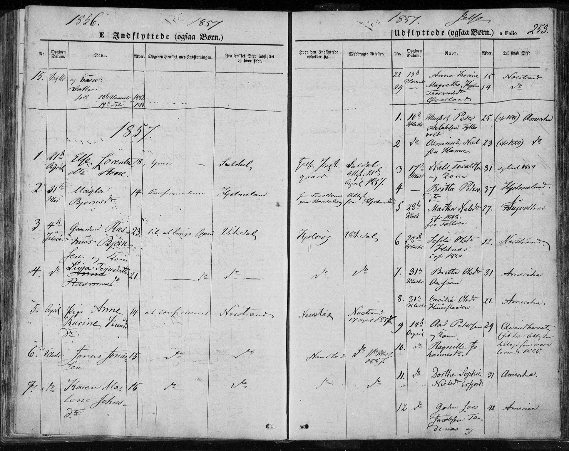 Jelsa sokneprestkontor, SAST/A-101842/01/IV: Parish register (official) no. A 7, 1854-1866, p. 253