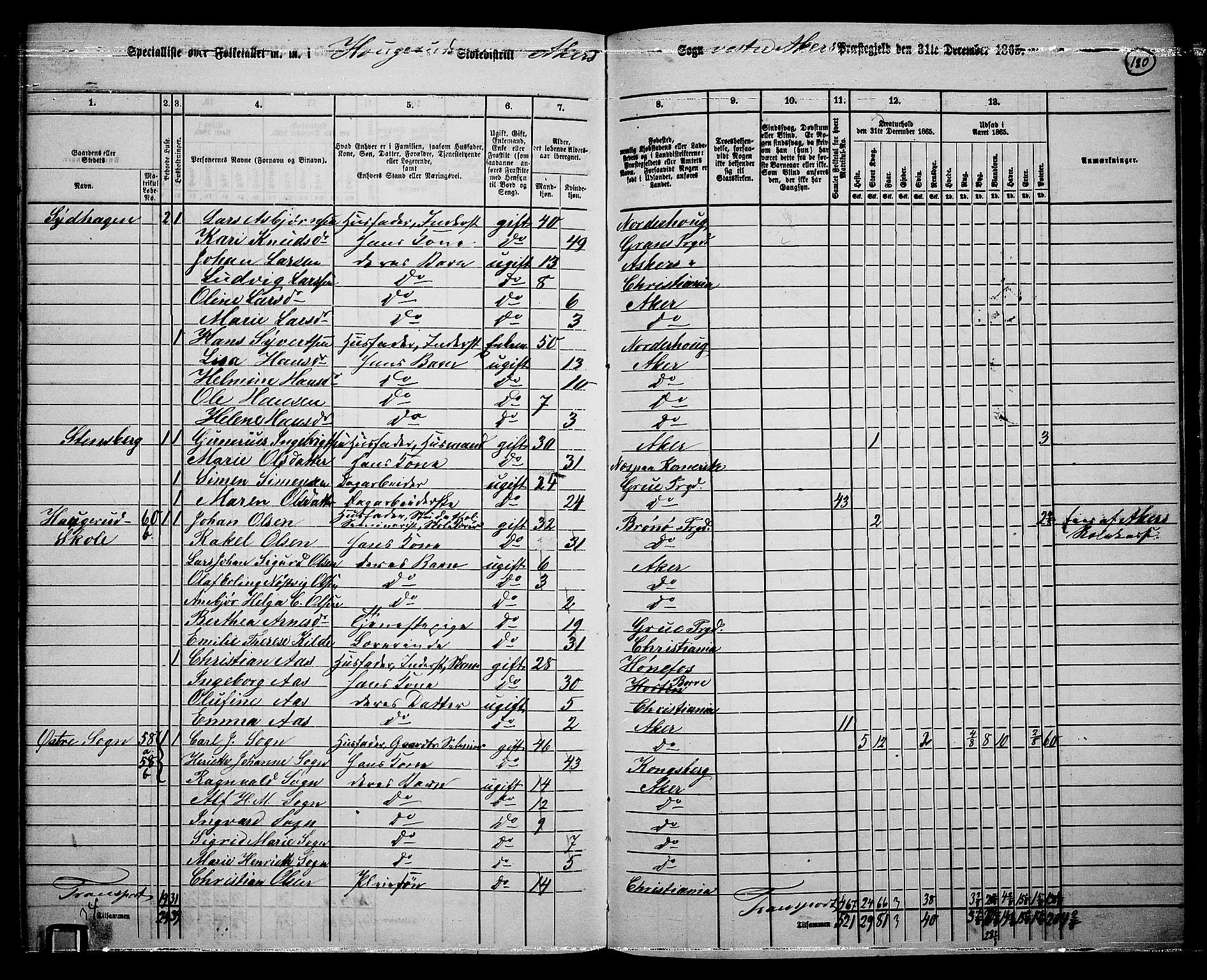 RA, 1865 census for Vestre Aker, 1865, p. 161
