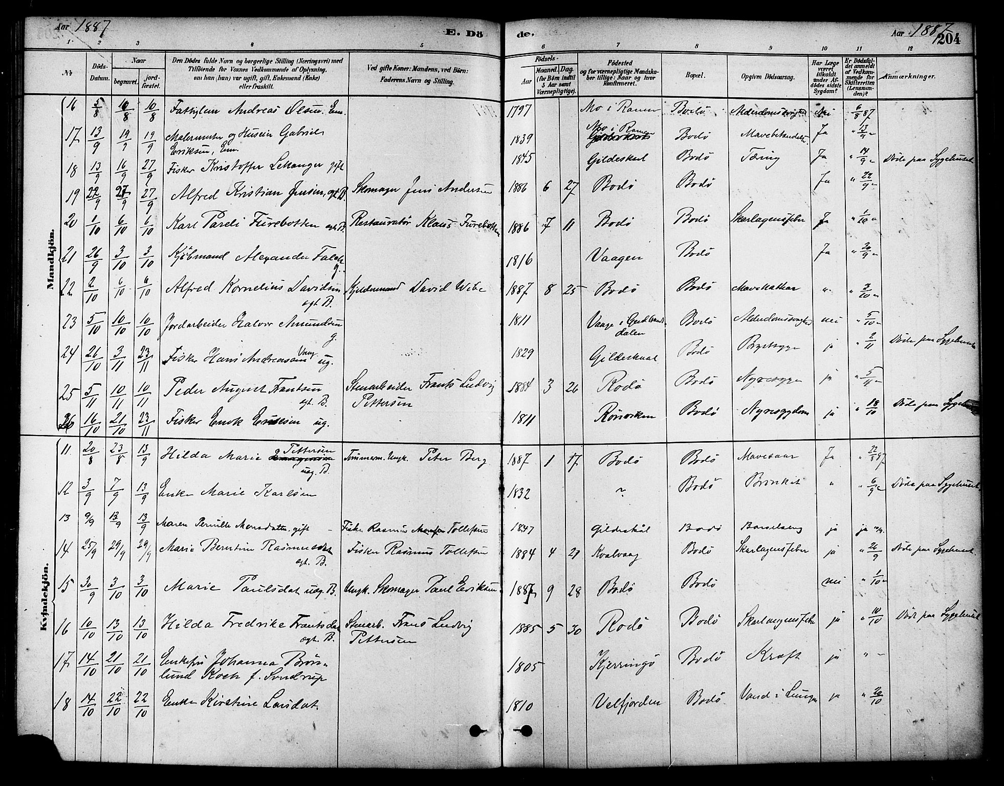 Ministerialprotokoller, klokkerbøker og fødselsregistre - Nordland, AV/SAT-A-1459/801/L0030: Parish register (copy) no. 801C05, 1879-1887, p. 204