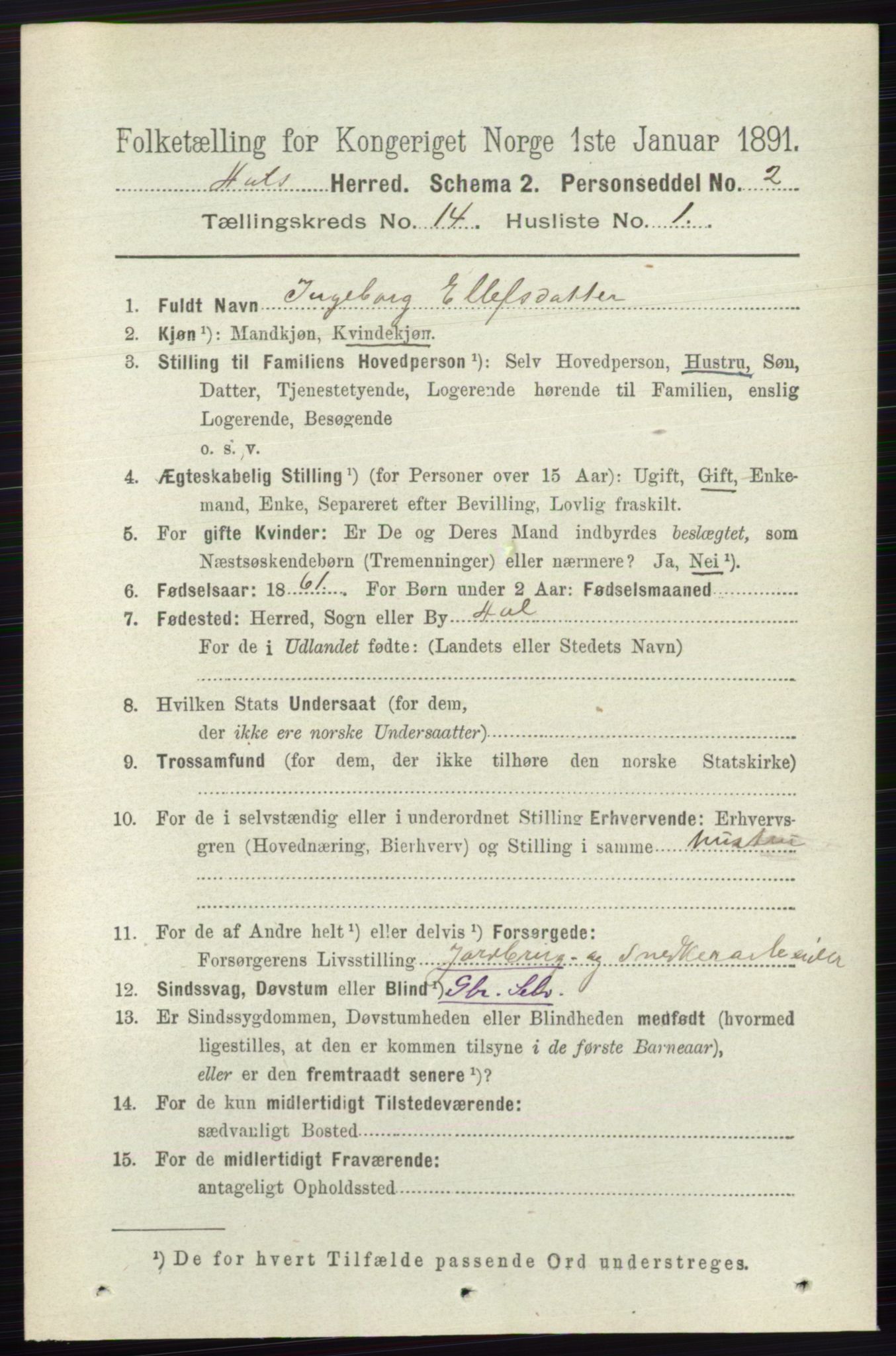 RA, 1891 census for 0619 Ål, 1891, p. 3544