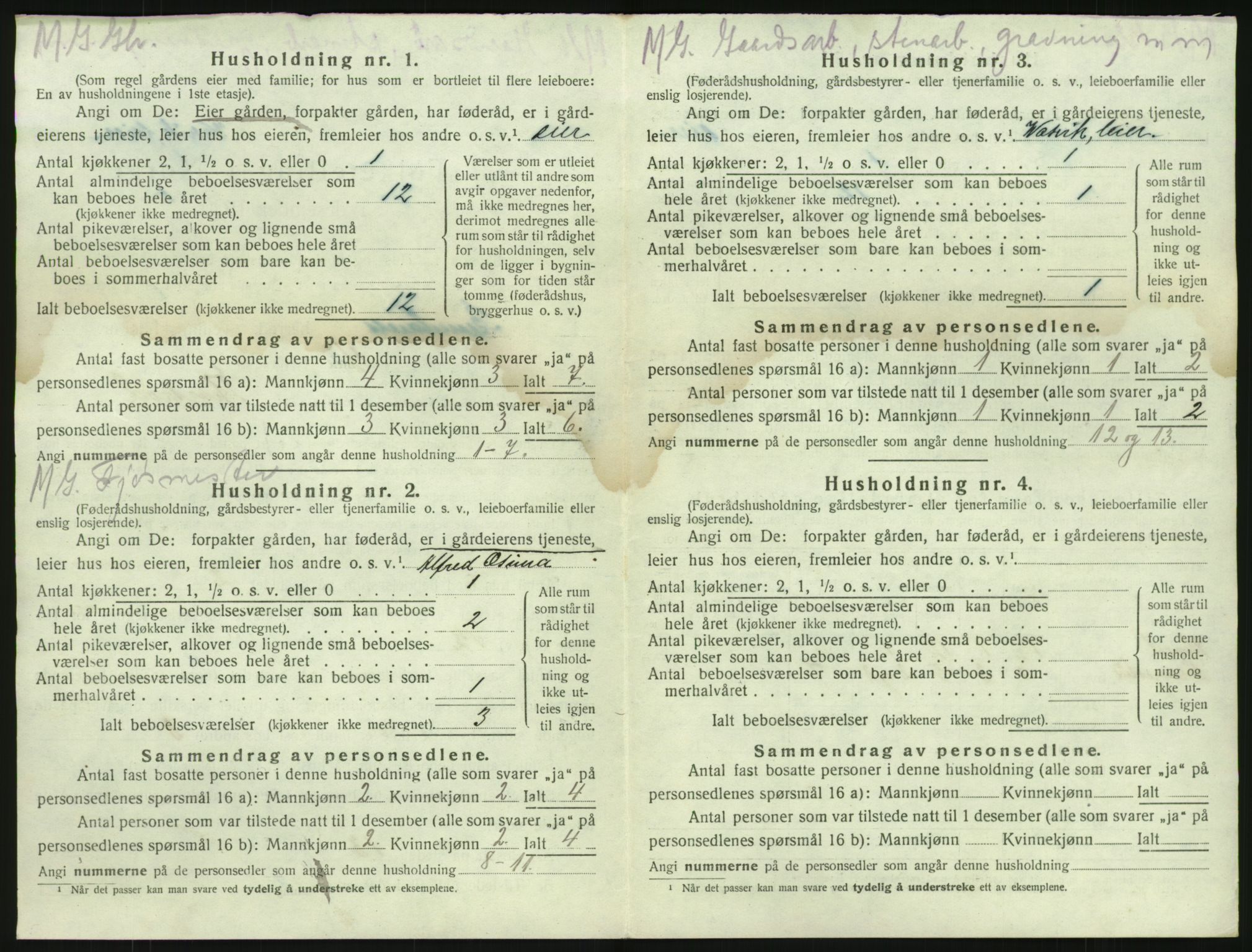 SAKO, 1920 census for Brunlanes, 1920, p. 488