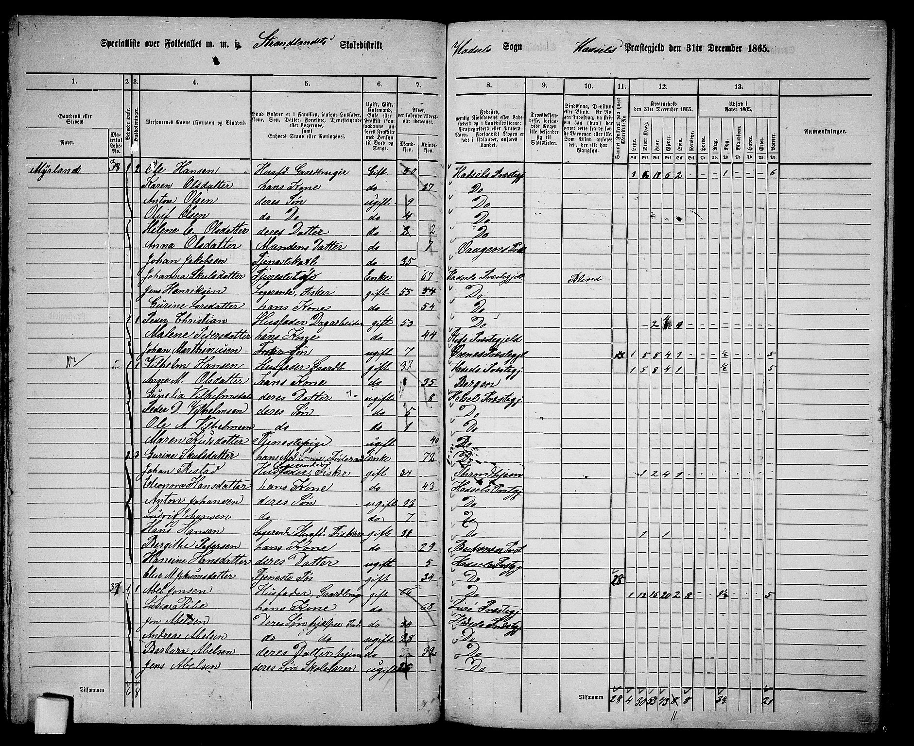 RA, 1865 census for Hadsel, 1865, p. 64