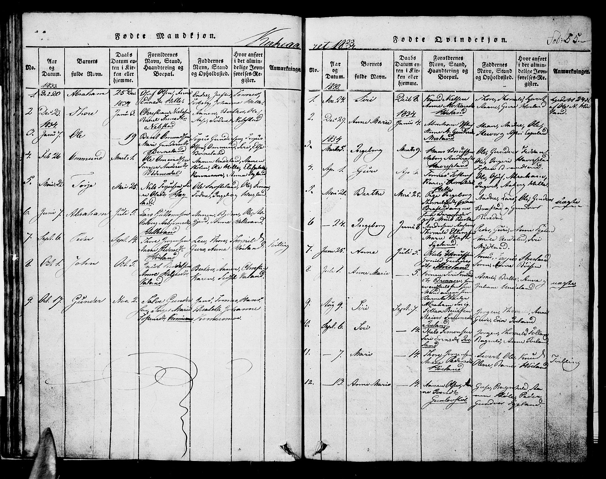 Nord-Audnedal sokneprestkontor, AV/SAK-1111-0032/F/Fb/Fba/L0001: Parish register (copy) no. B 1, 1815-1856, p. 55