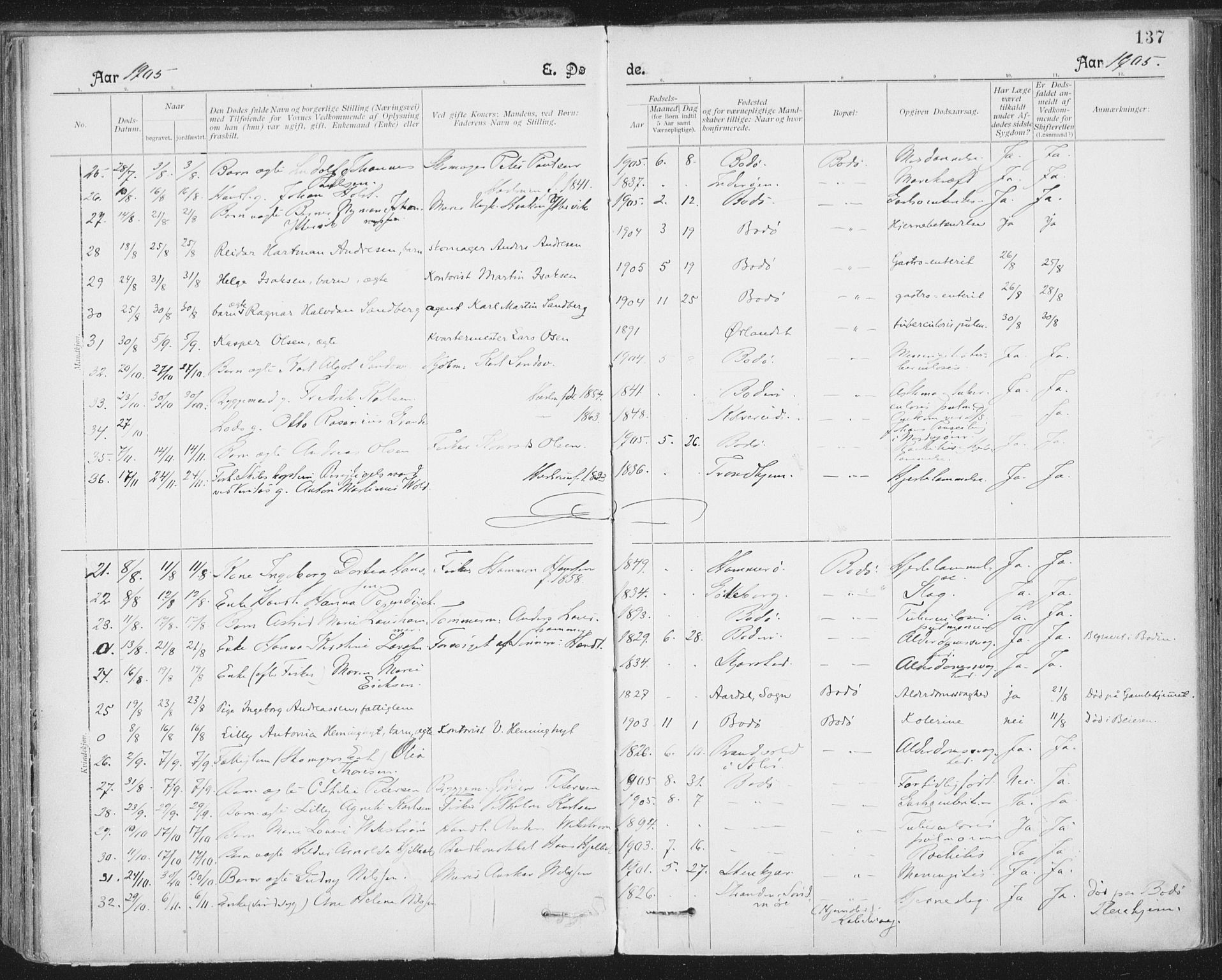 Ministerialprotokoller, klokkerbøker og fødselsregistre - Nordland, AV/SAT-A-1459/801/L0012: Parish register (official) no. 801A12, 1900-1916, p. 137