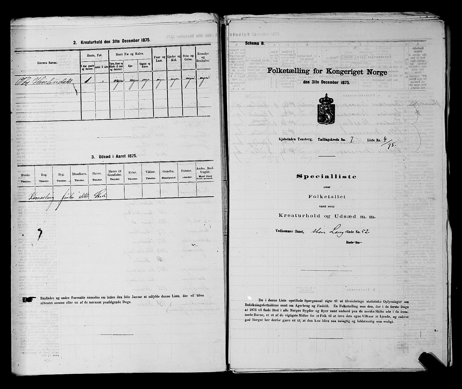 SAKO, 1875 census for 0705P Tønsberg, 1875, p. 199