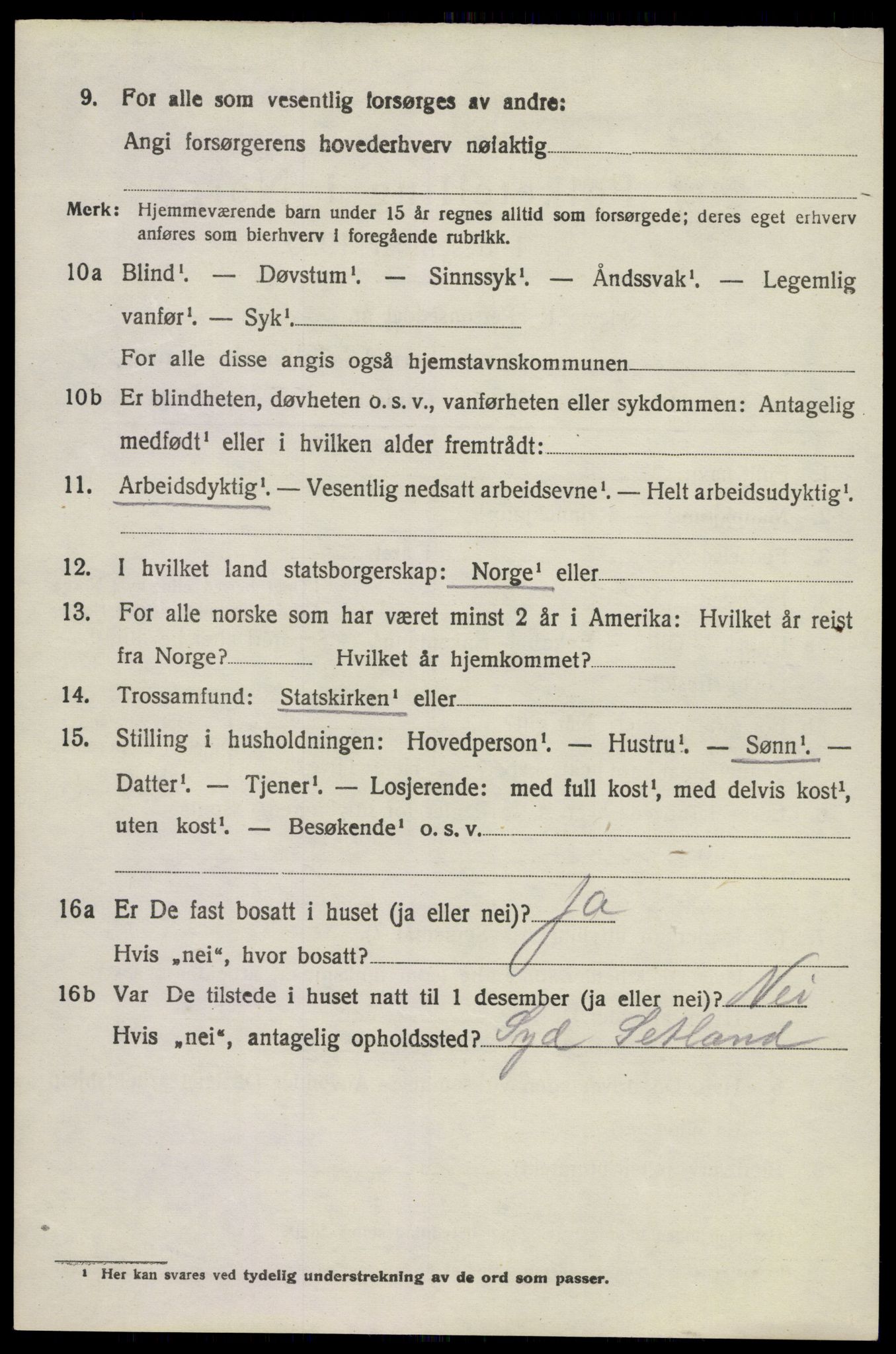 SAKO, 1920 census for Brunlanes, 1920, p. 9736
