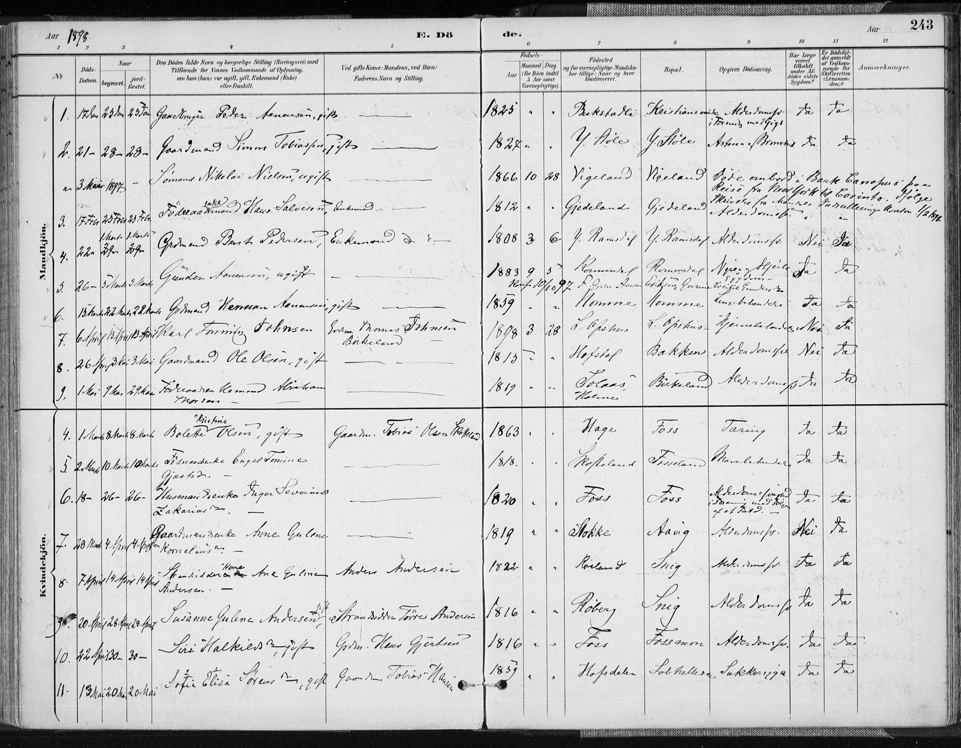 Sør-Audnedal sokneprestkontor, AV/SAK-1111-0039/F/Fa/Fab/L0010: Parish register (official) no. A 10, 1892-1913, p. 243