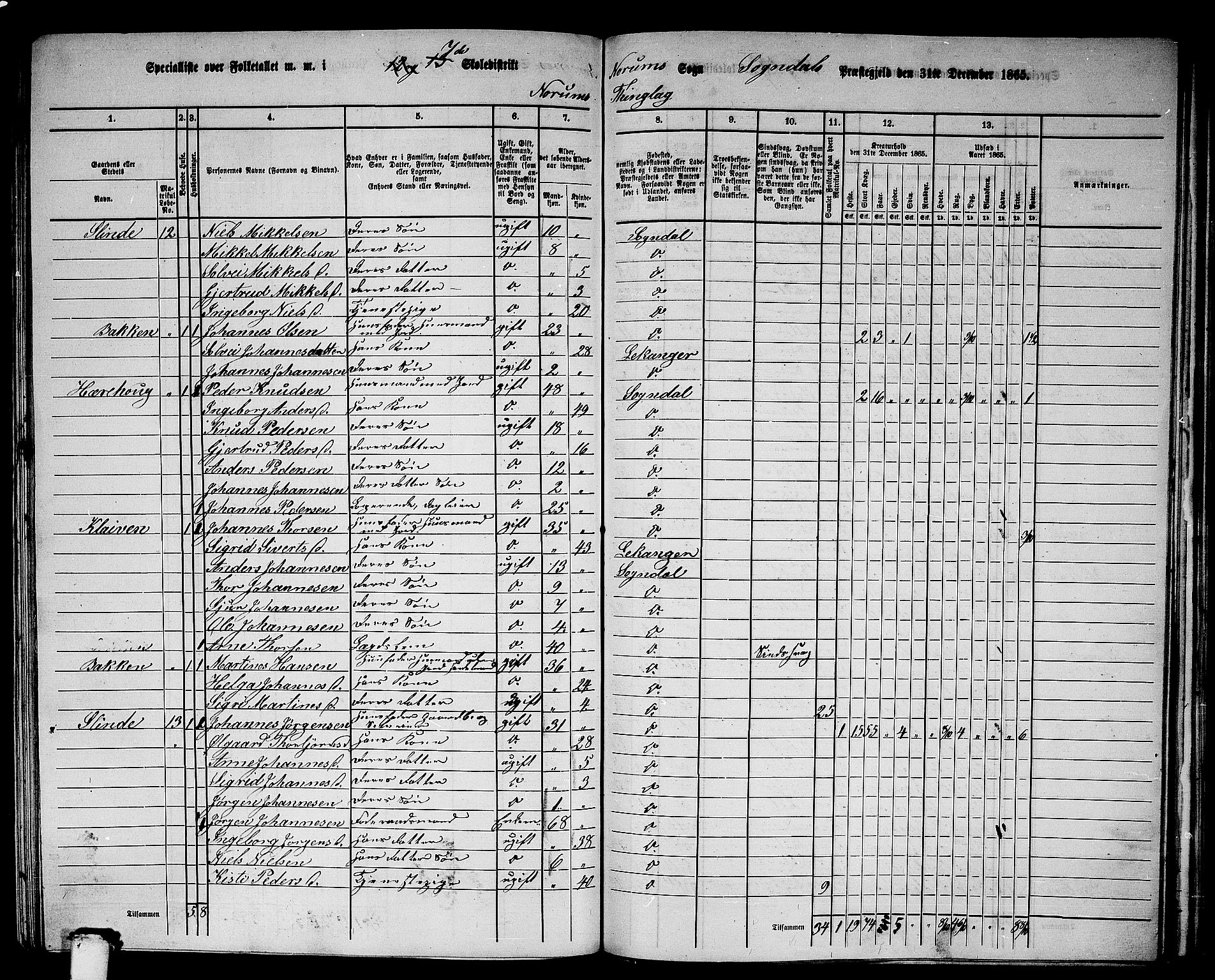 RA, 1865 census for Sogndal, 1865, p. 120