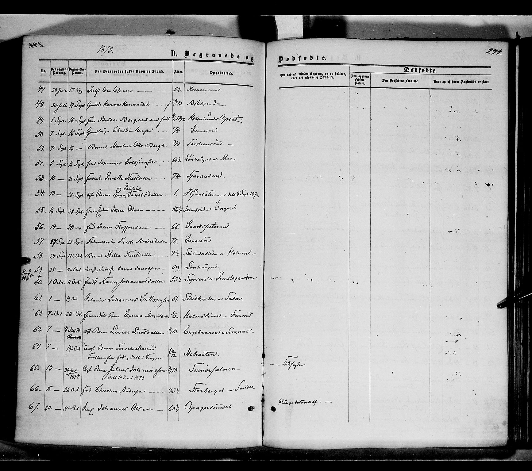 Grue prestekontor, AV/SAH-PREST-036/H/Ha/Haa/L0010: Parish register (official) no. 10, 1864-1873, p. 294