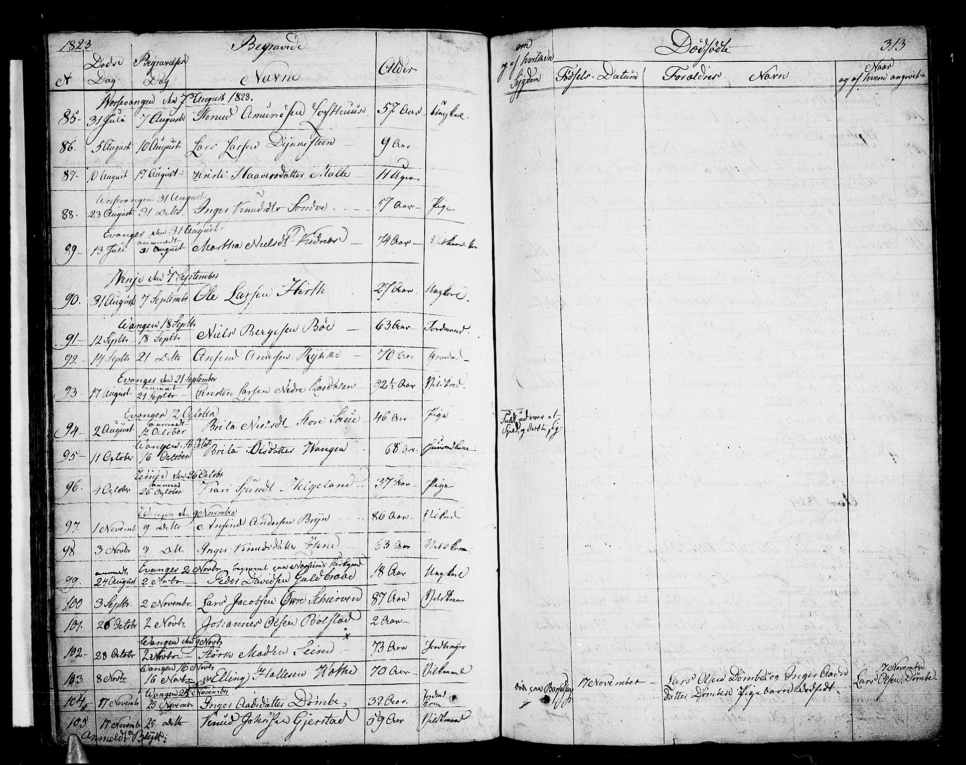 Voss sokneprestembete, SAB/A-79001/H/Haa: Parish register (official) no. A 12, 1823-1837, p. 313