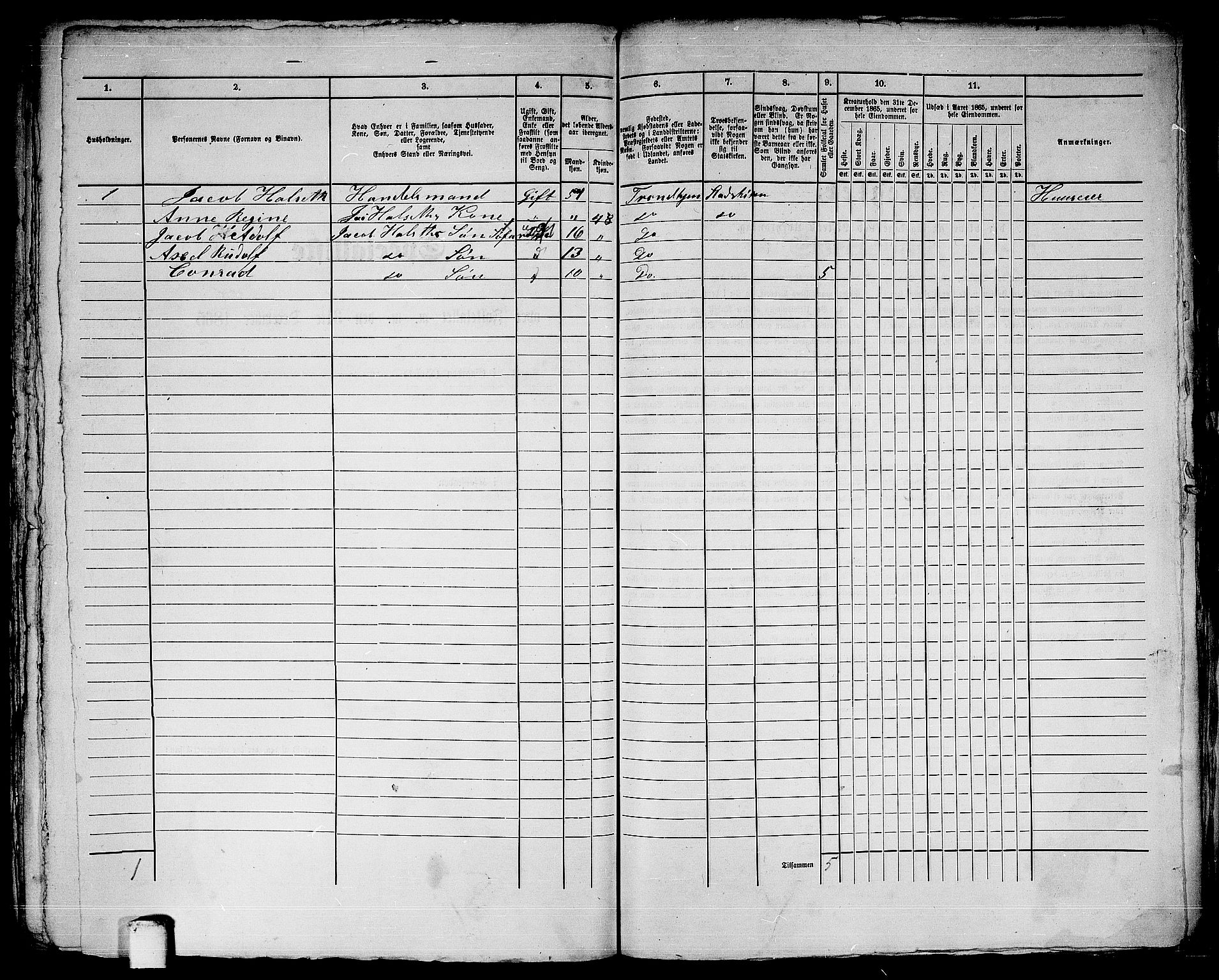 RA, 1865 census for Trondheim, 1865, p. 3117