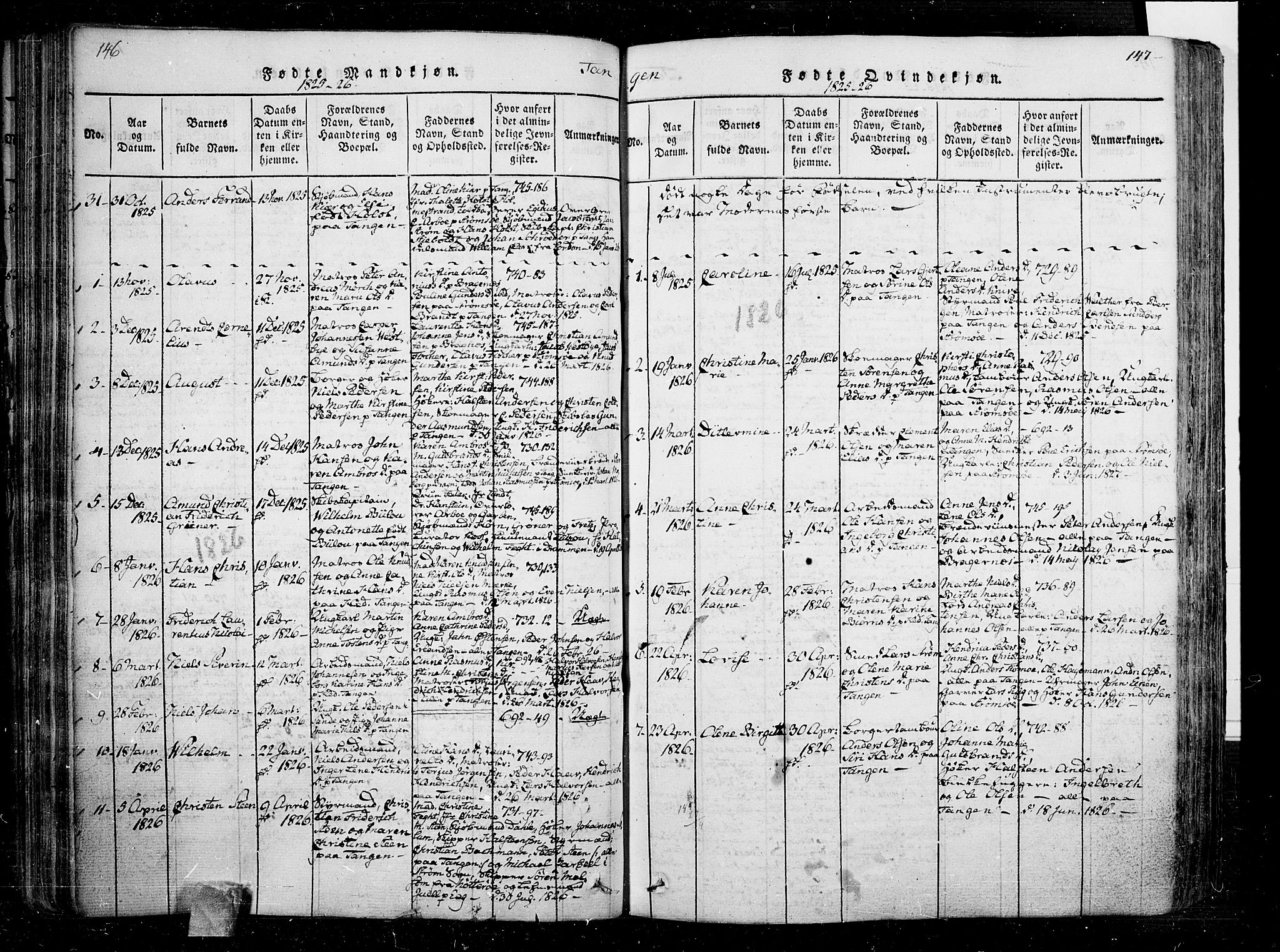 Skoger kirkebøker, AV/SAKO-A-59/F/Fa/L0002: Parish register (official) no. I 2 /2, 1814-1842, p. 146-147