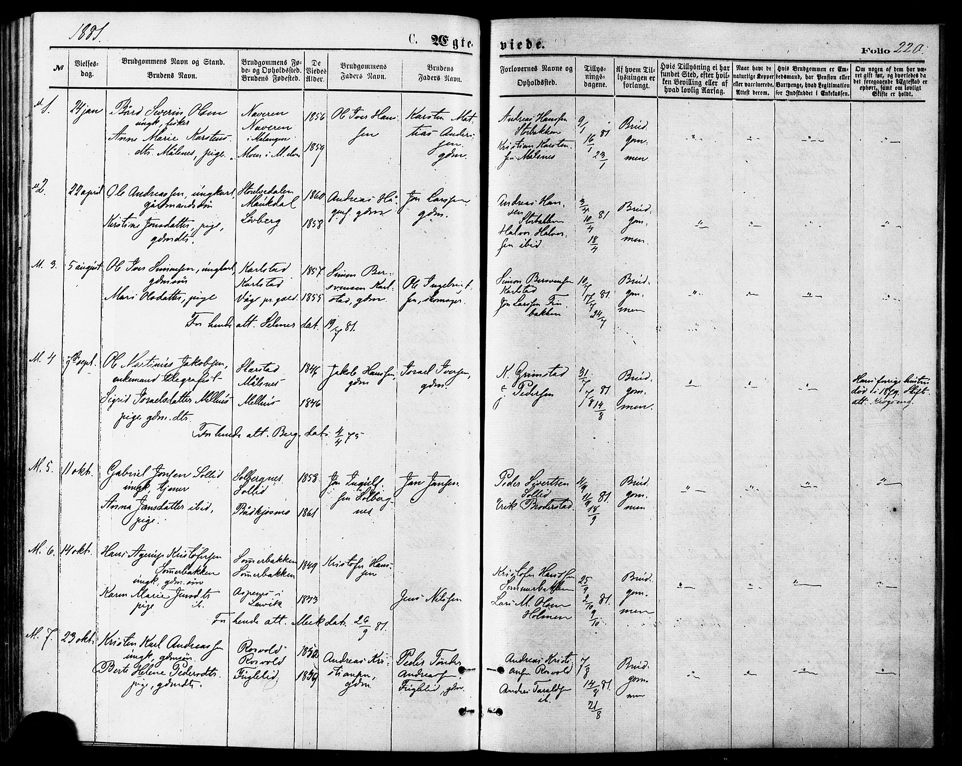 Målselv sokneprestembete, SATØ/S-1311/G/Ga/Gaa/L0005kirke: Parish register (official) no. 5, 1872-1884, p. 220
