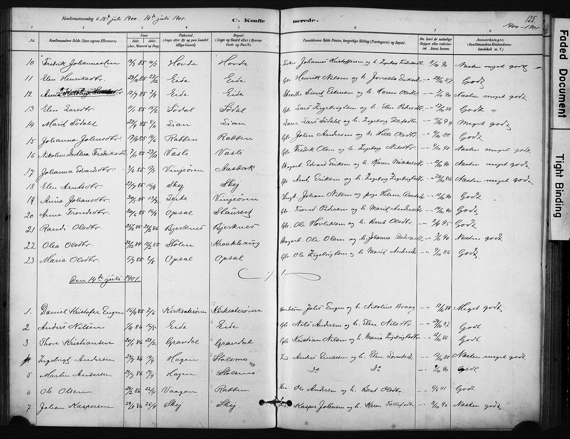 Ministerialprotokoller, klokkerbøker og fødselsregistre - Sør-Trøndelag, AV/SAT-A-1456/631/L0512: Parish register (official) no. 631A01, 1879-1912, p. 125