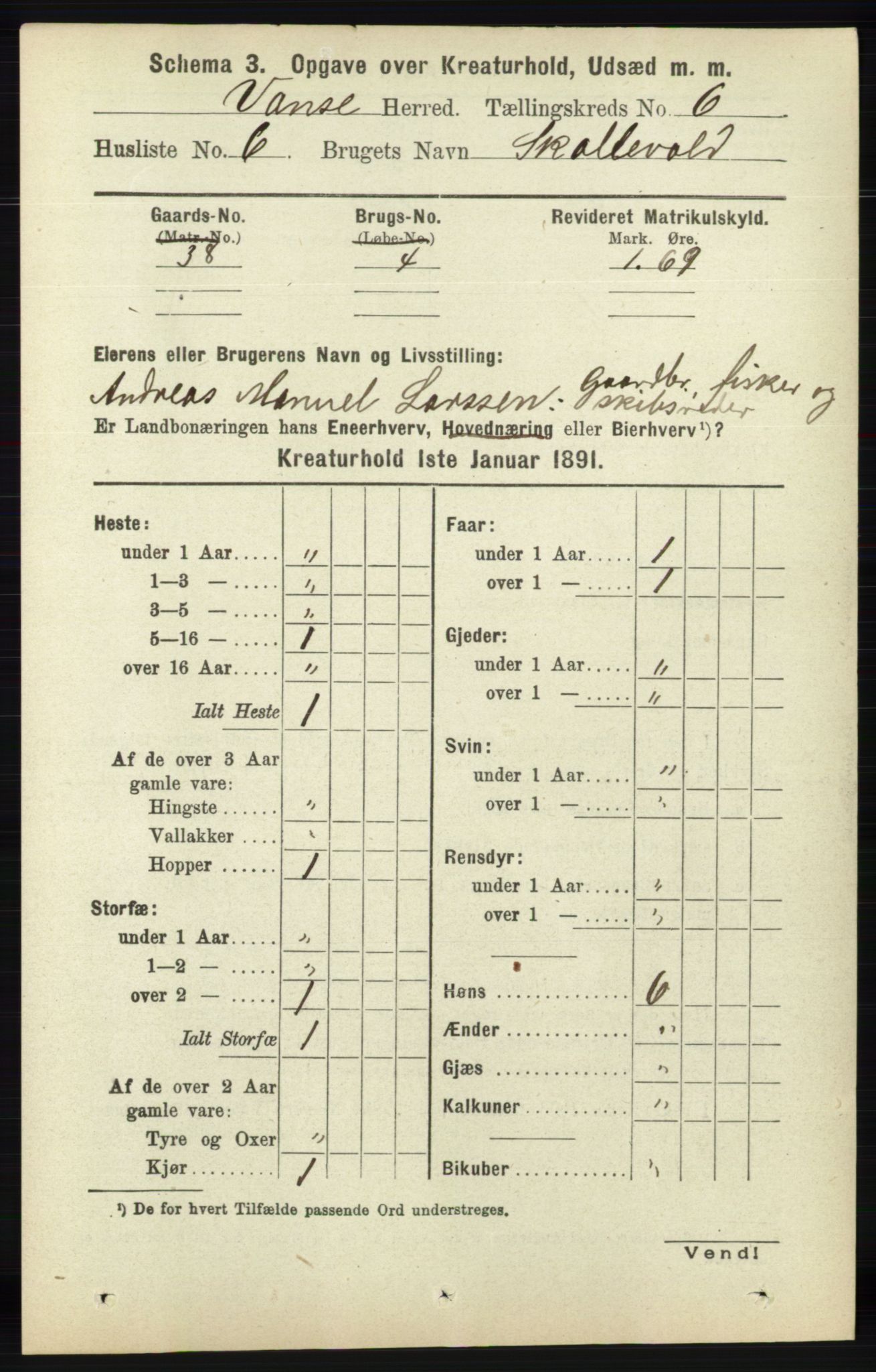 RA, 1891 census for 1041 Vanse, 1891, p. 8975