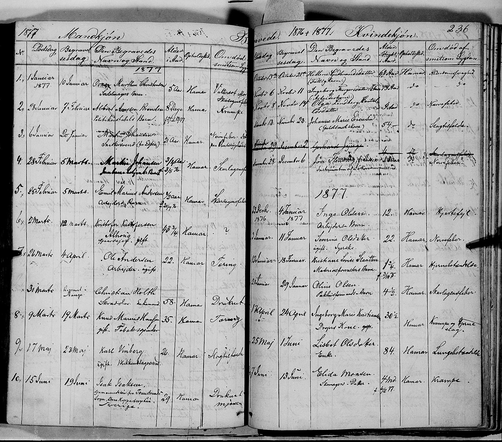 Vang prestekontor, Hedmark, SAH/PREST-008/H/Ha/Haa/L0011: Parish register (official) no. 11, 1852-1877, p. 236
