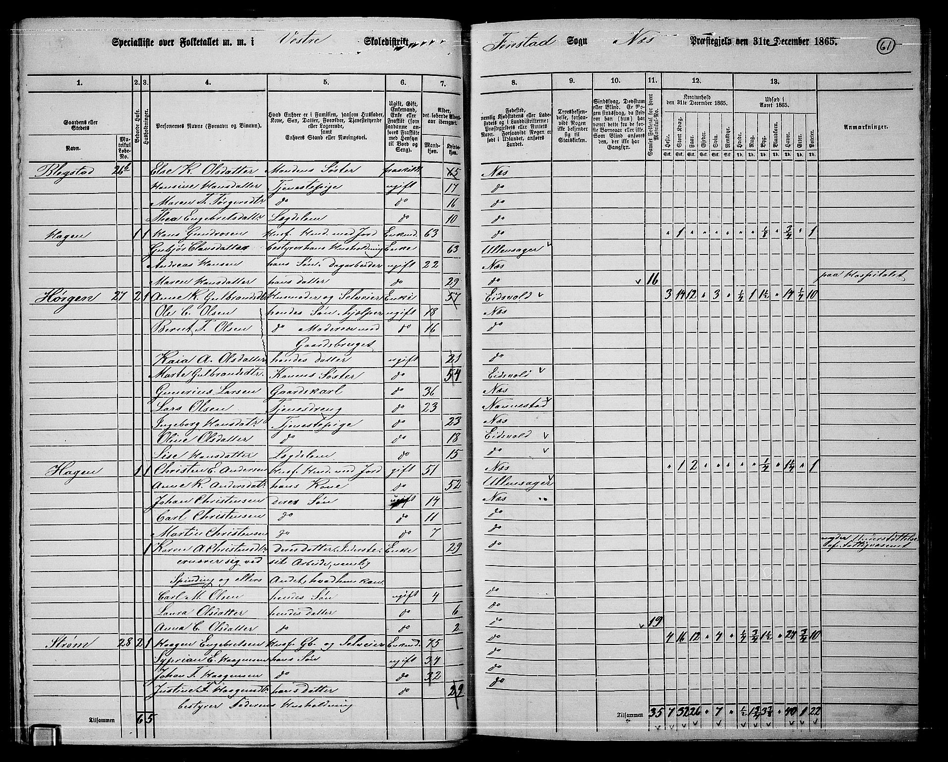 RA, 1865 census for Nes, 1865, p. 54