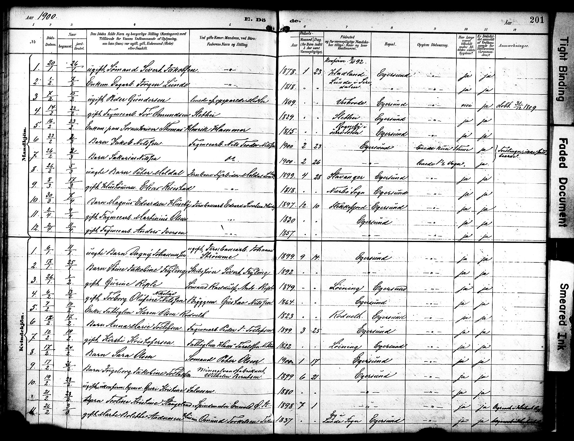 Eigersund sokneprestkontor, AV/SAST-A-101807/S08/L0019: Parish register (official) no. A 18, 1892-1905, p. 201