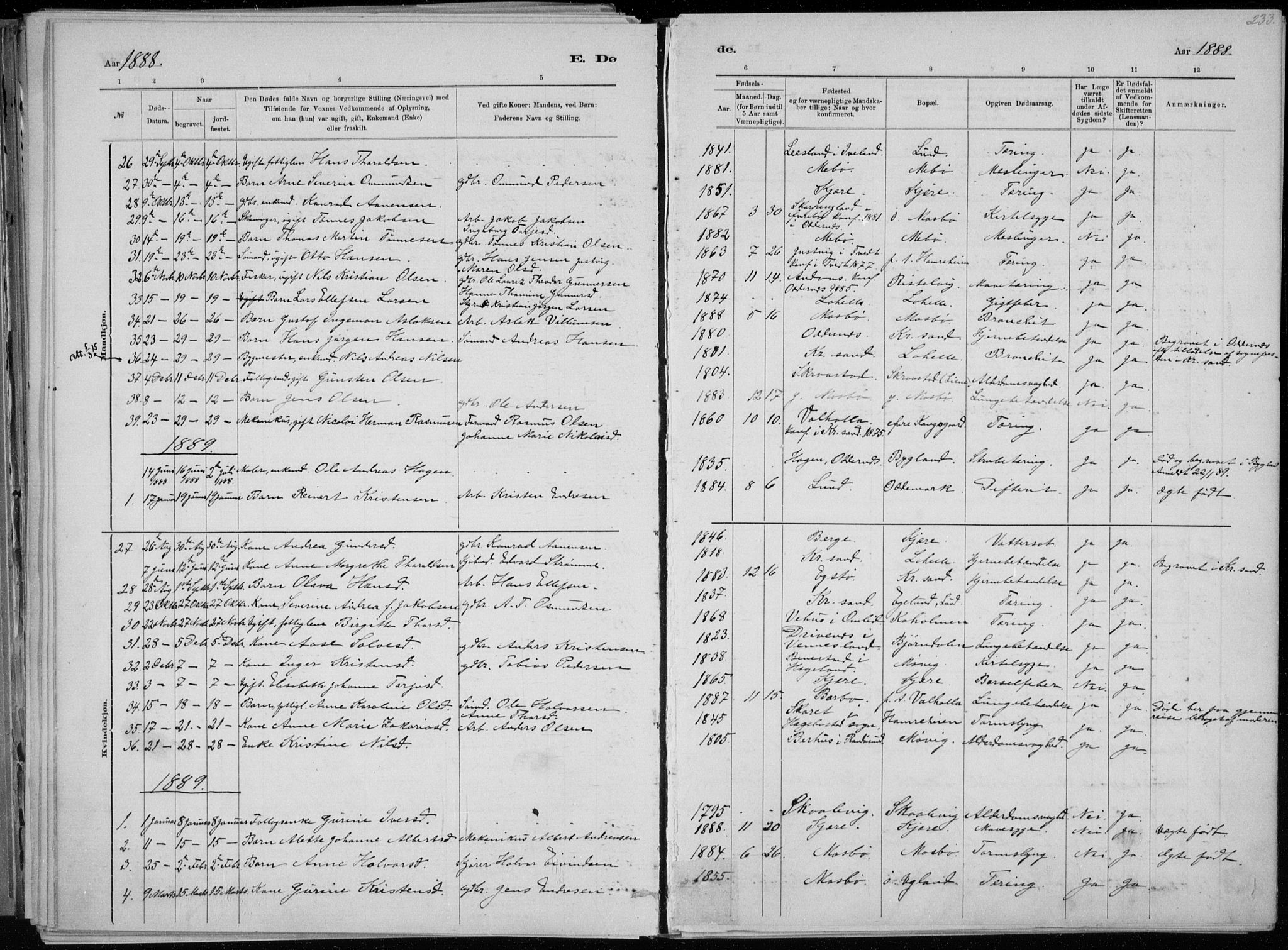 Oddernes sokneprestkontor, AV/SAK-1111-0033/F/Fa/Faa/L0009: Parish register (official) no. A 9, 1884-1896, p. 233