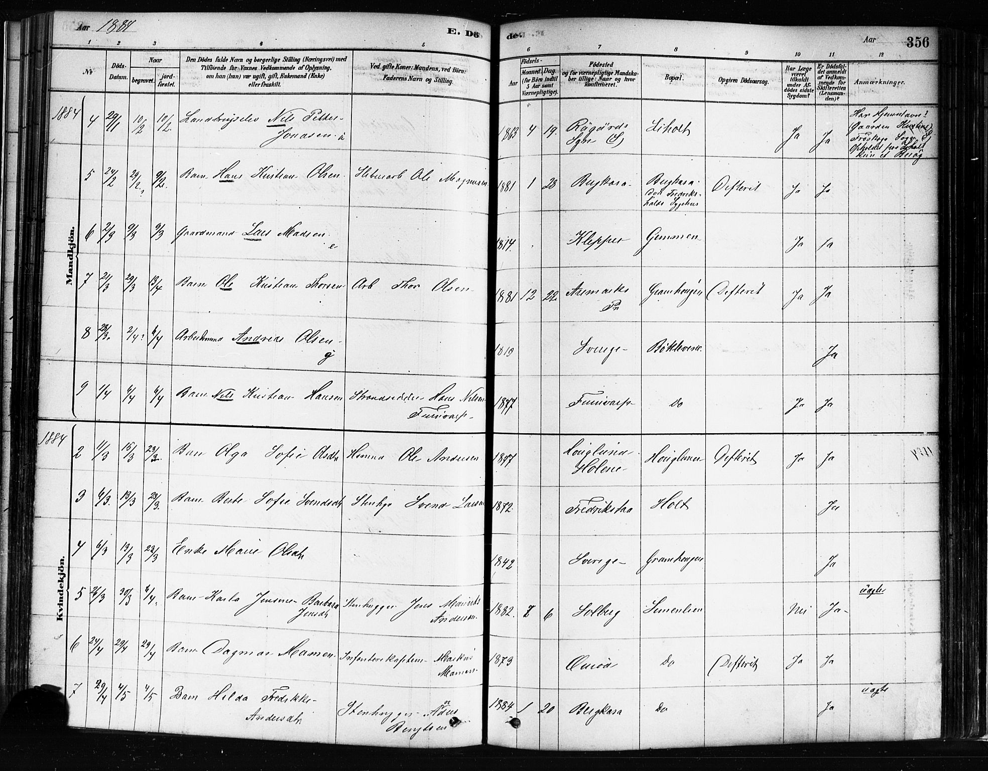 Idd prestekontor Kirkebøker, AV/SAO-A-10911/F/Fc/L0006b: Parish register (official) no. III 6B, 1878-1903, p. 356