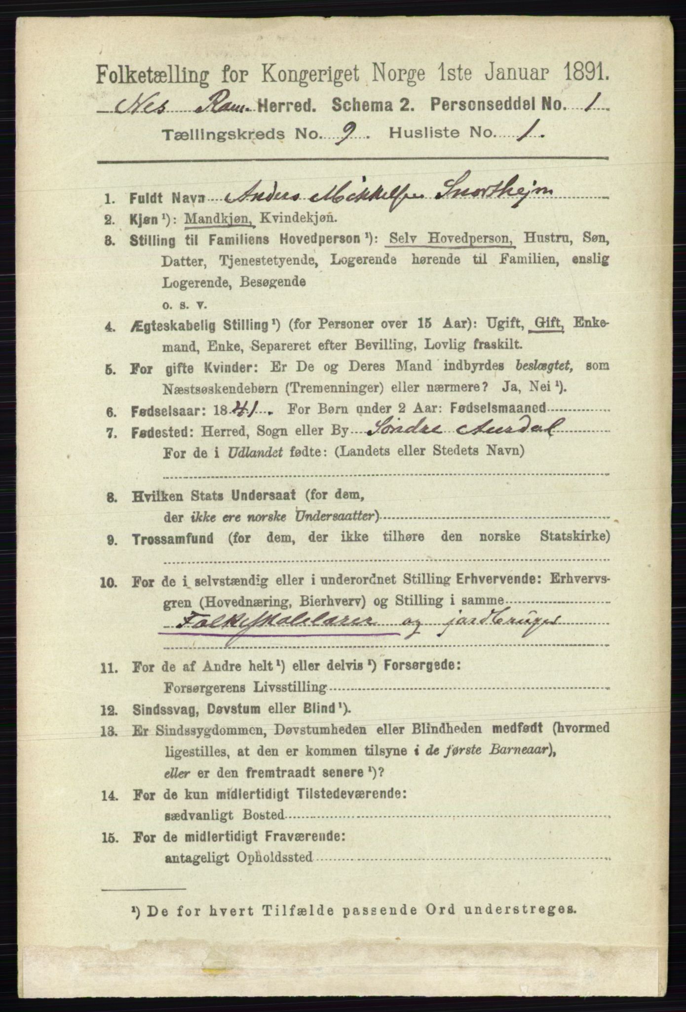 RA, 1891 census for 0236 Nes, 1891, p. 5258