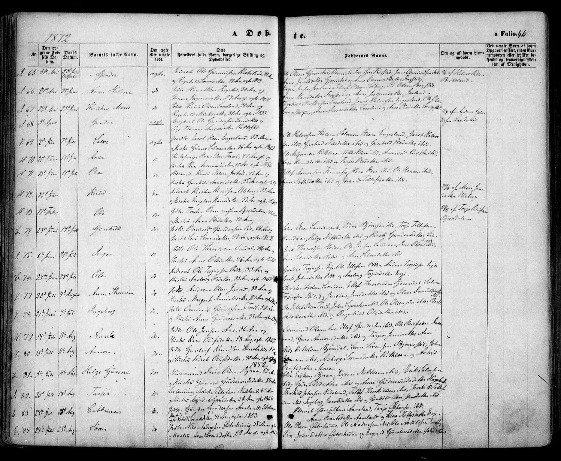 Evje sokneprestkontor, AV/SAK-1111-0008/F/Fa/Faa/L0006: Parish register (official) no. A 6, 1866-1884, p. 46