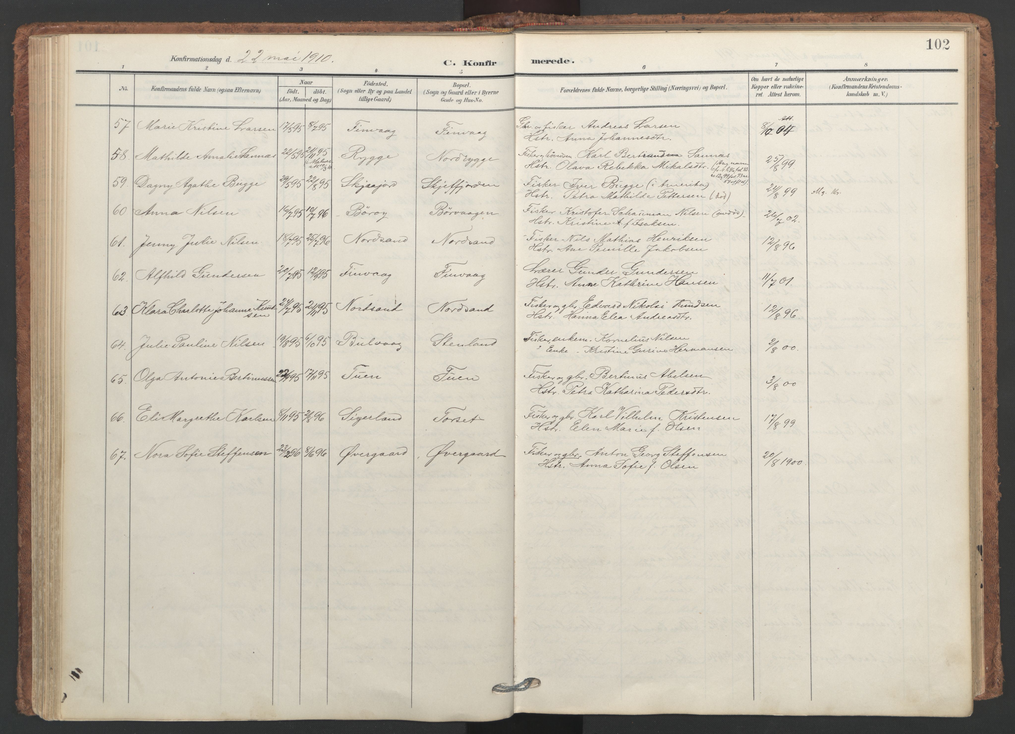 Ministerialprotokoller, klokkerbøker og fødselsregistre - Nordland, SAT/A-1459/893/L1339: Parish register (official) no. 893A11, 1904-1914, p. 102
