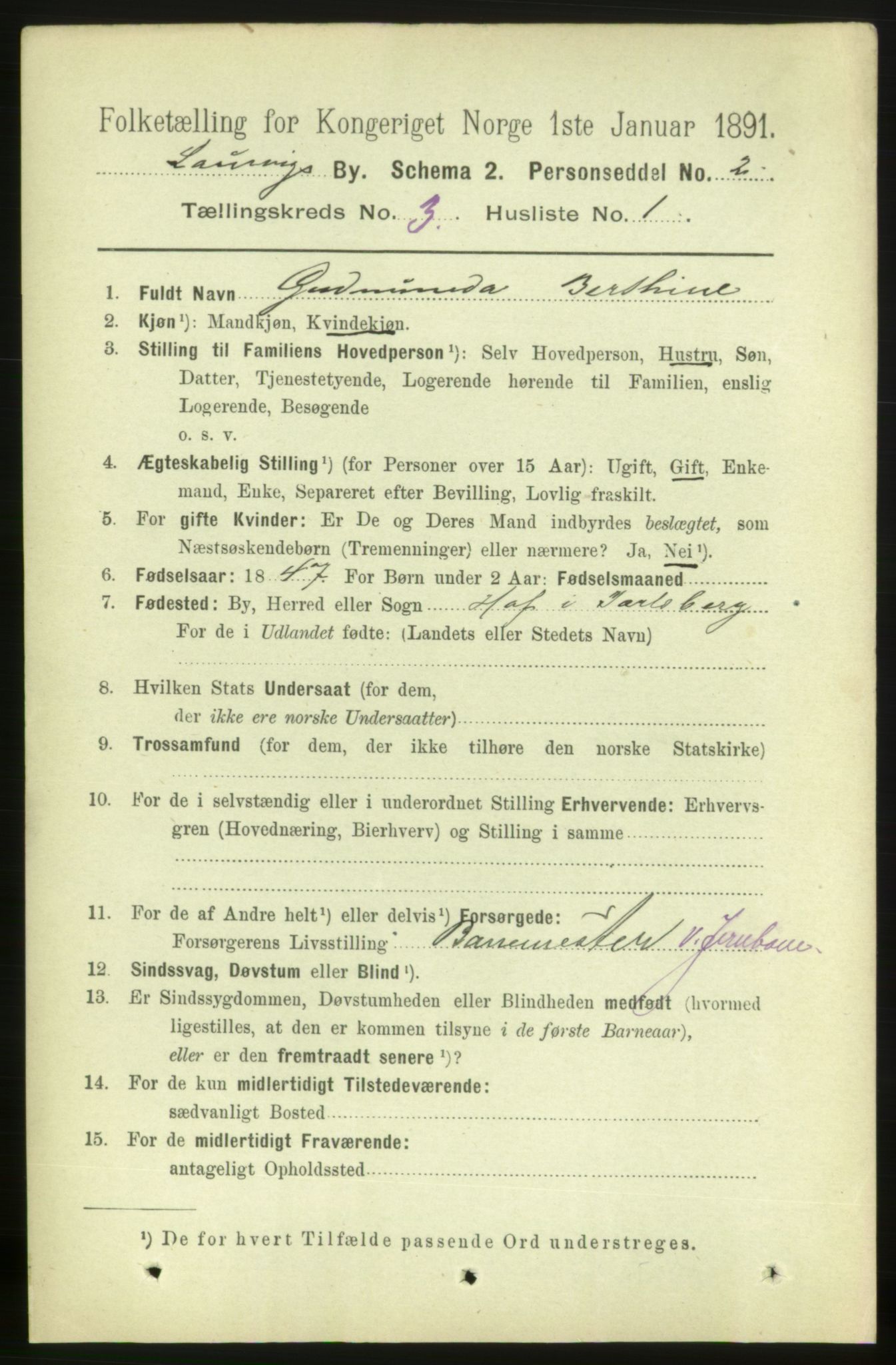 RA, 1891 census for 0707 Larvik, 1891, p. 4123