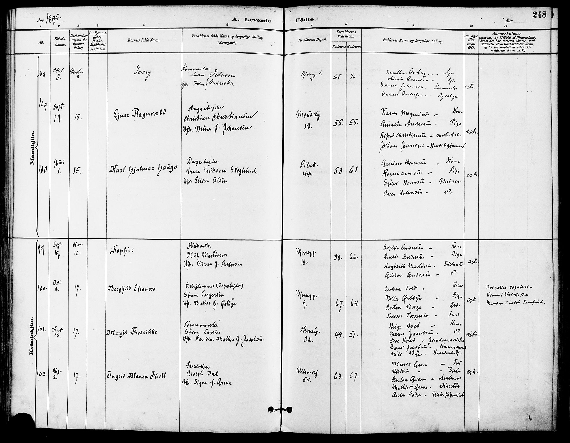 Gamle Aker prestekontor Kirkebøker, AV/SAO-A-10617a/F/L0008: Parish register (official) no. 8, 1887-1896, p. 248