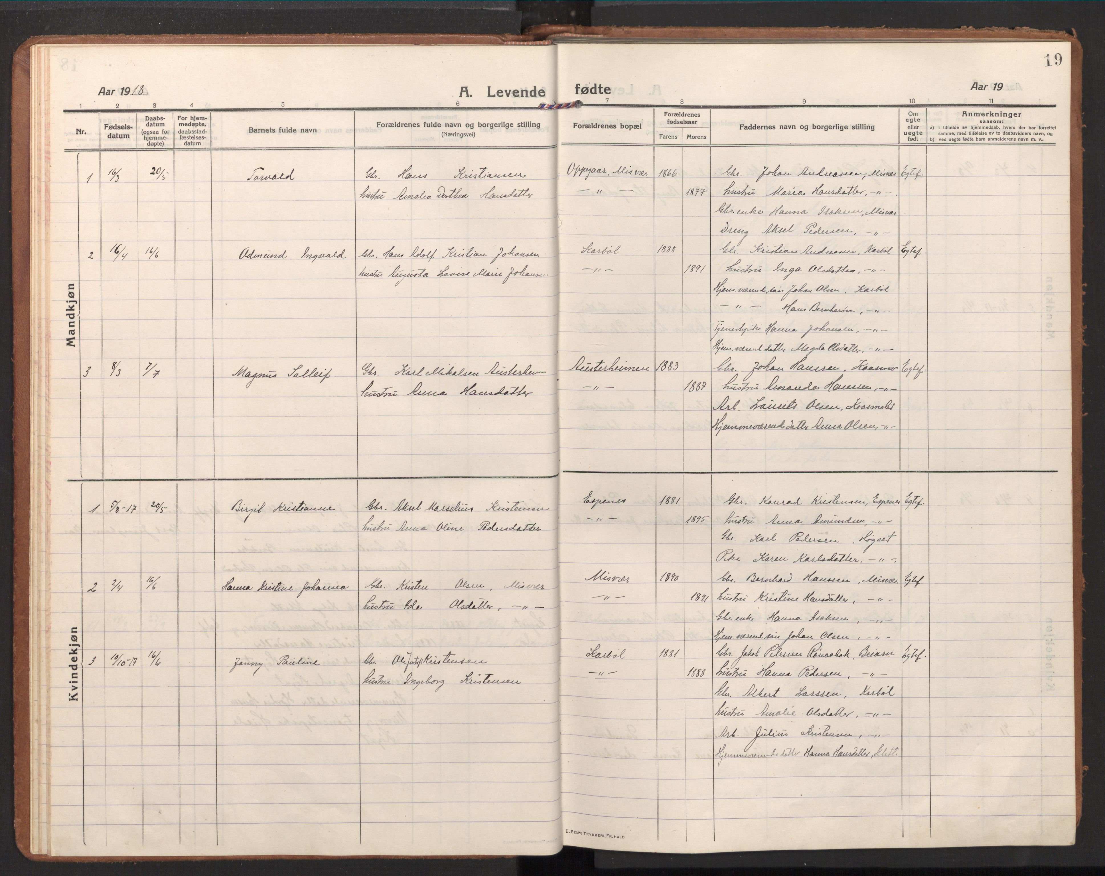 Ministerialprotokoller, klokkerbøker og fødselsregistre - Nordland, AV/SAT-A-1459/848/L0688: Parish register (official) no. 848A01, 1913-1935, p. 19