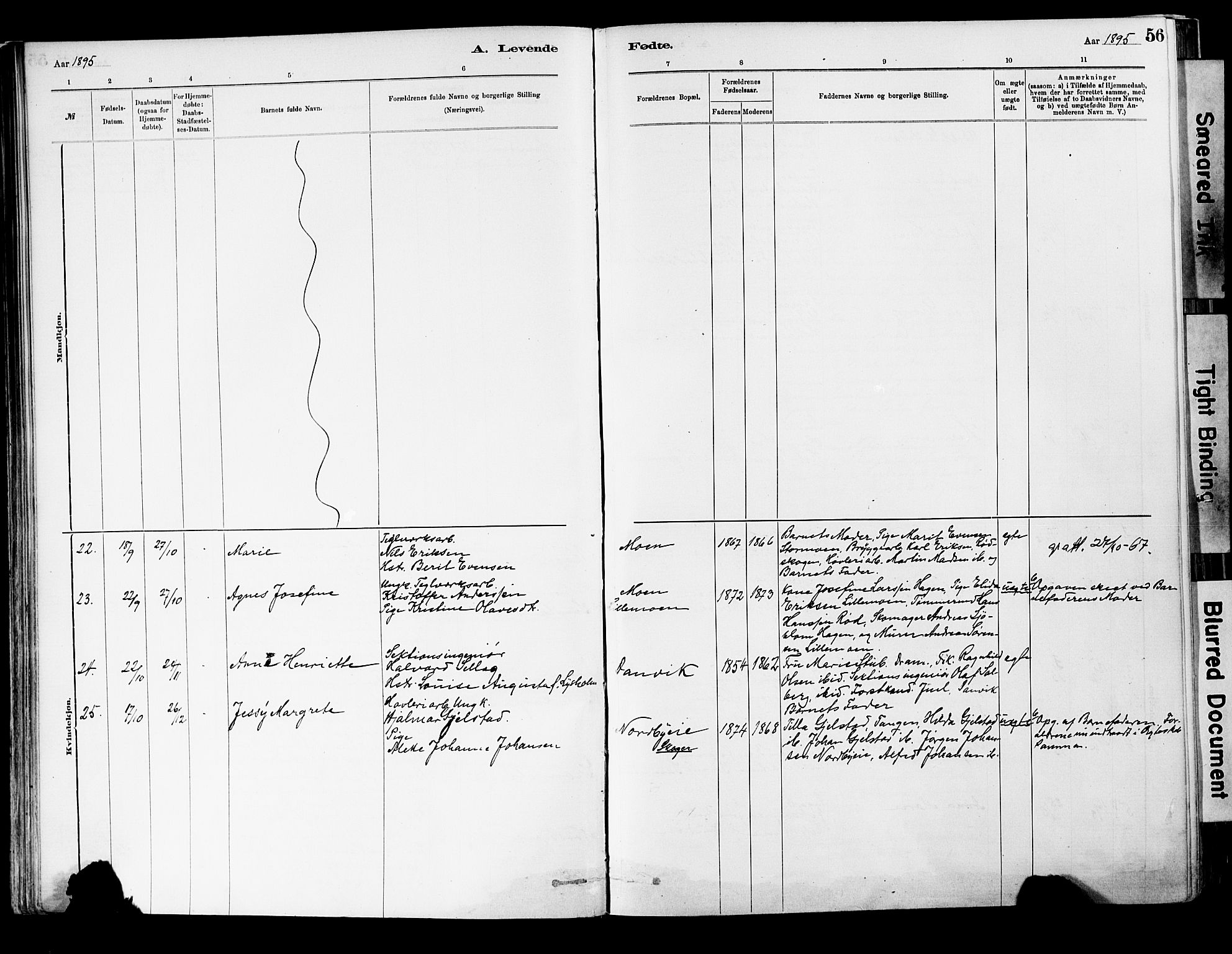 Strømsgodset kirkebøker, AV/SAKO-A-324/F/Fa/L0001: Parish register (official) no. 1, 1885-1909, p. 56