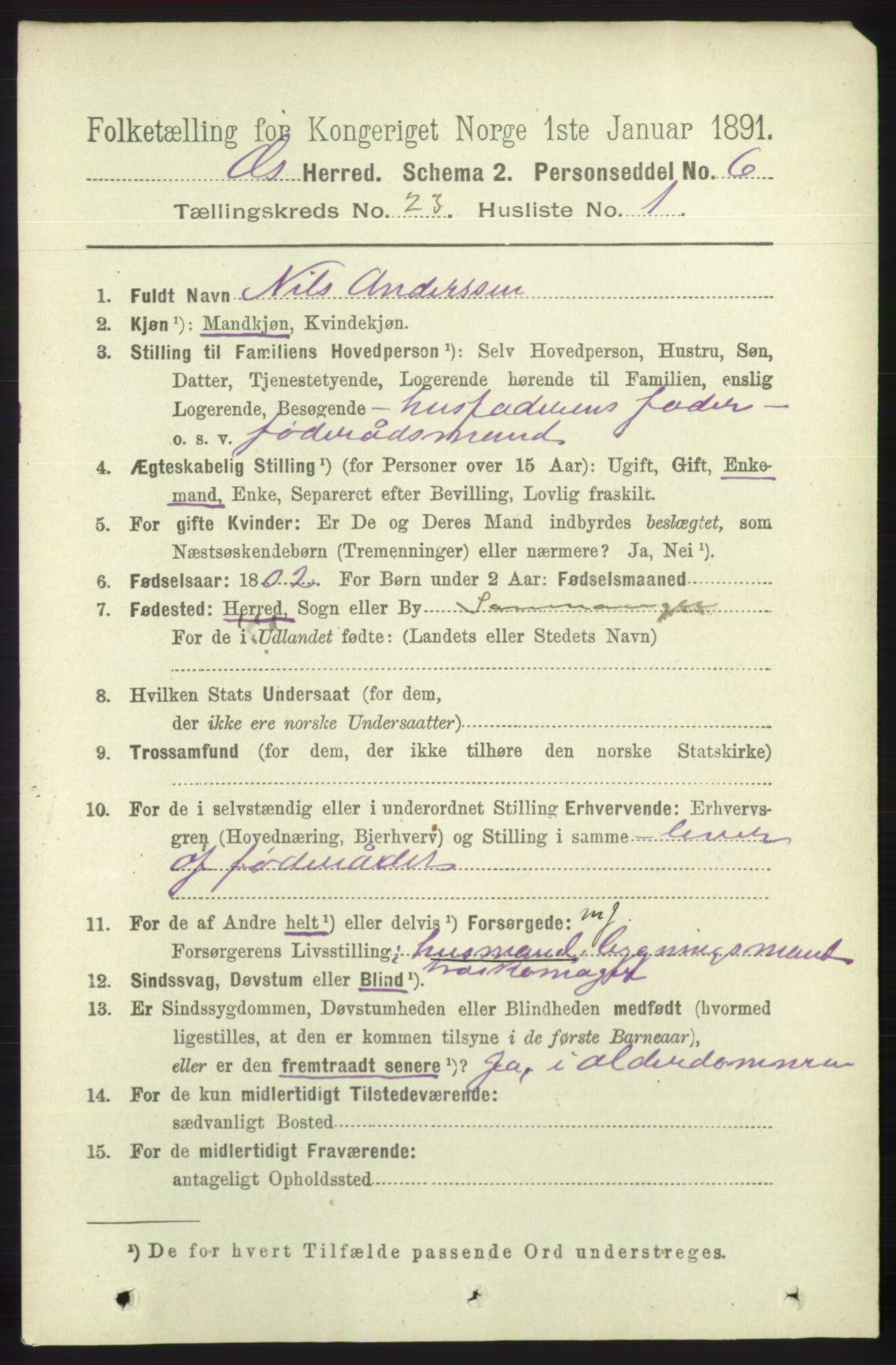 RA, 1891 census for 1243 Os, 1891, p. 5071