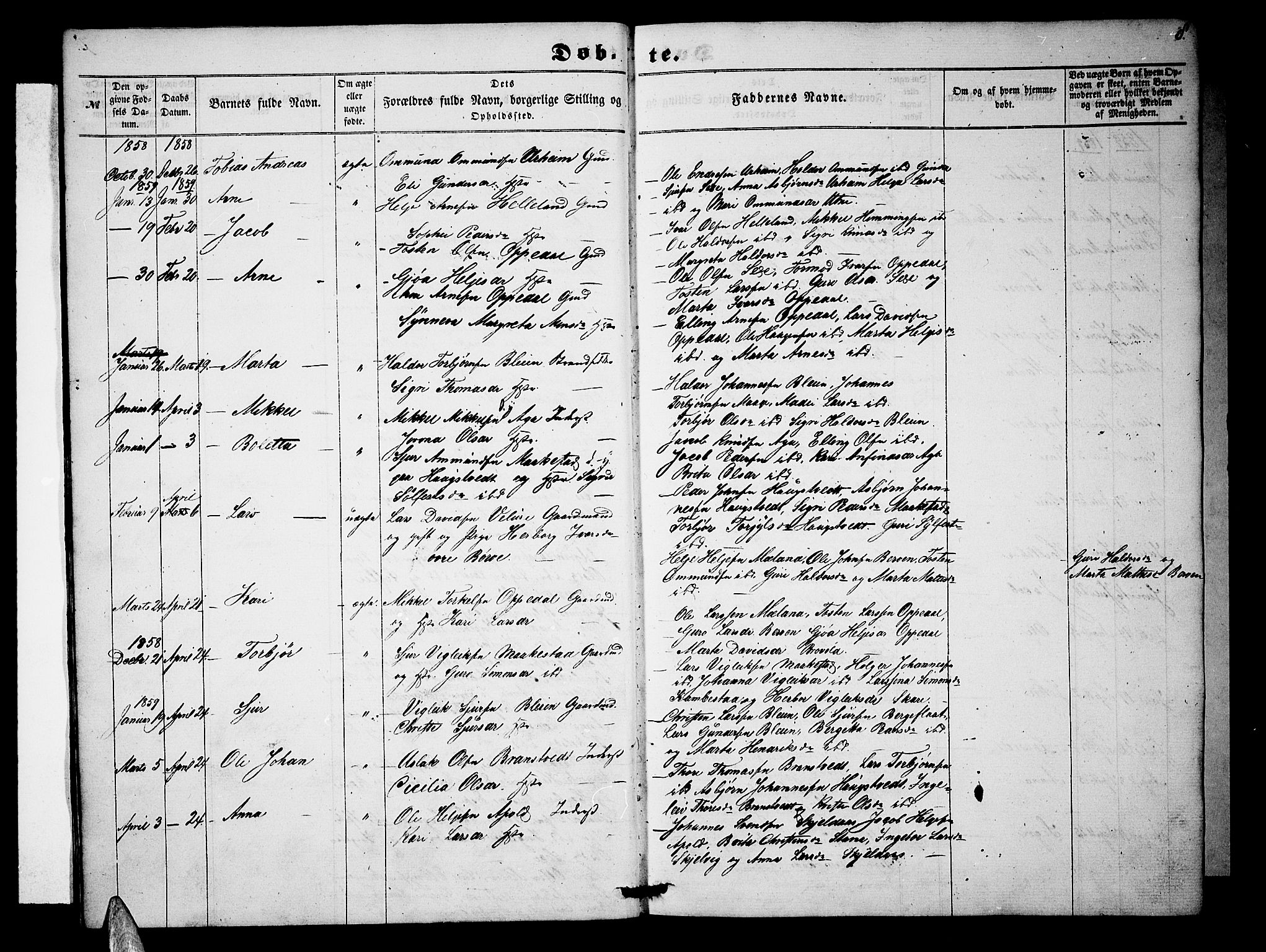 Ullensvang sokneprestembete, SAB/A-78701/H/Hab: Parish register (copy) no. B 10, 1858-1886, p. 8