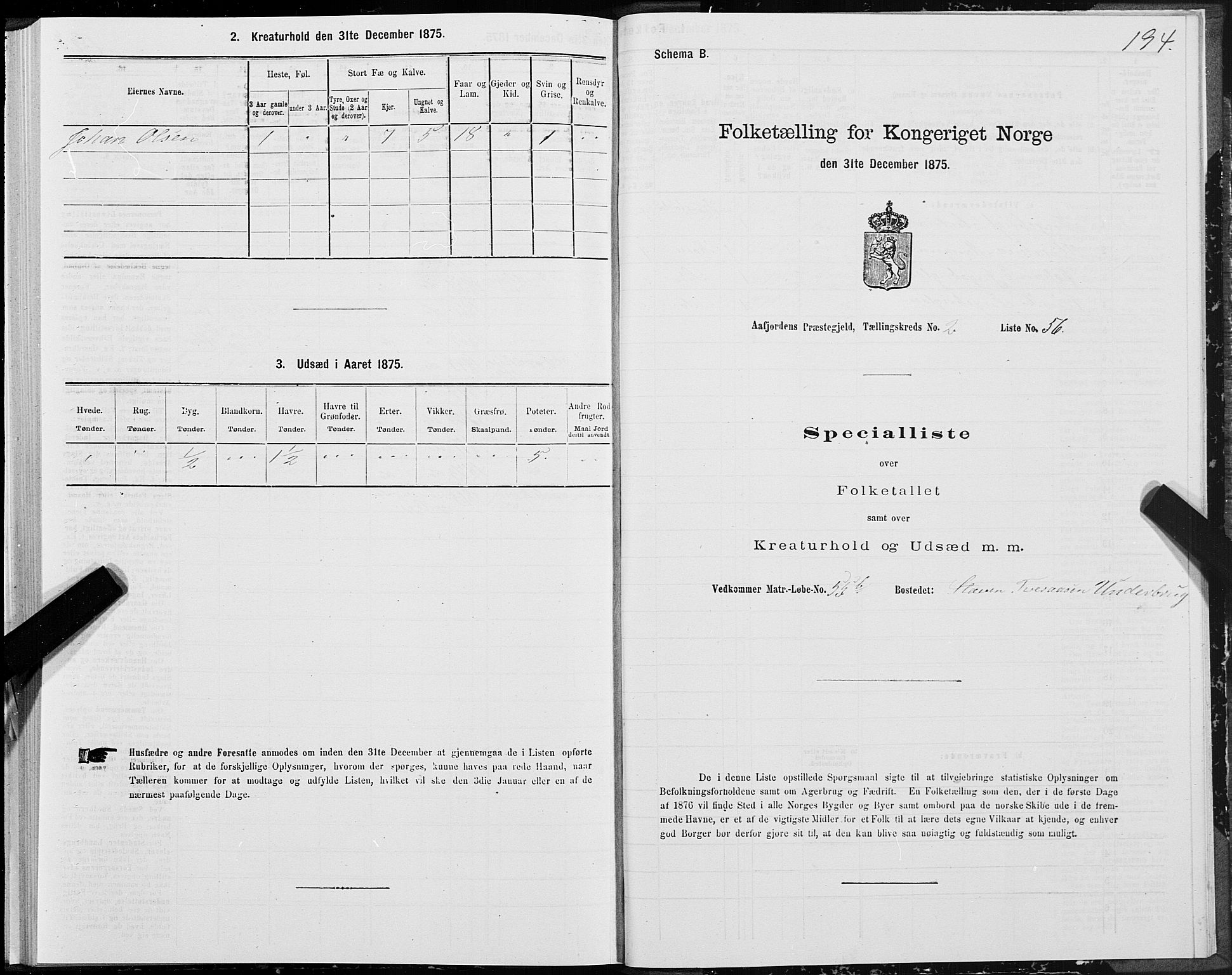 SAT, 1875 census for 1630P Aafjorden, 1875, p. 1194