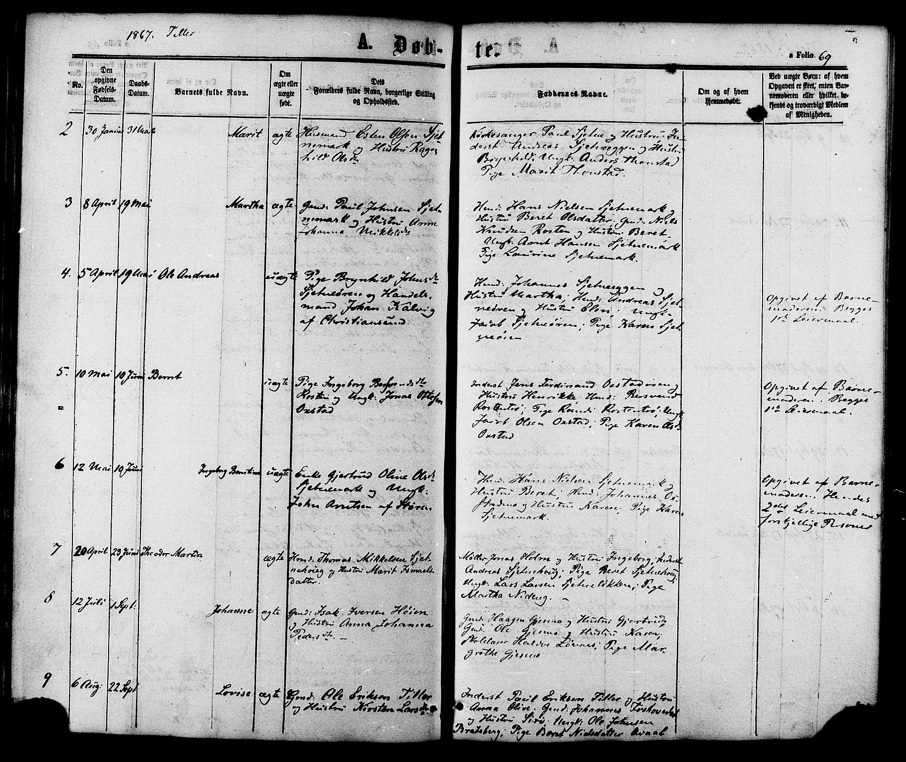Ministerialprotokoller, klokkerbøker og fødselsregistre - Sør-Trøndelag, SAT/A-1456/618/L0443: Parish register (official) no. 618A06 /2, 1863-1879, p. 69