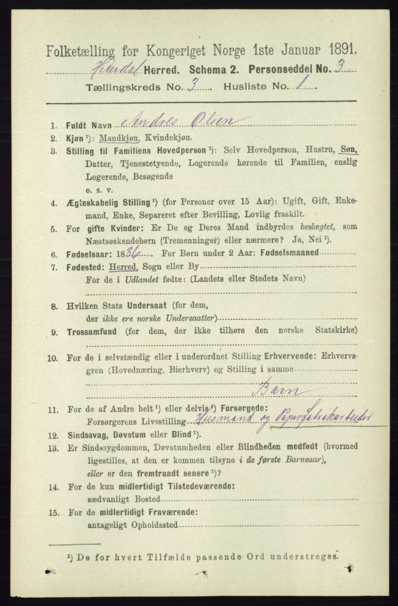 RA, 1891 census for 0823 Heddal, 1891, p. 1002