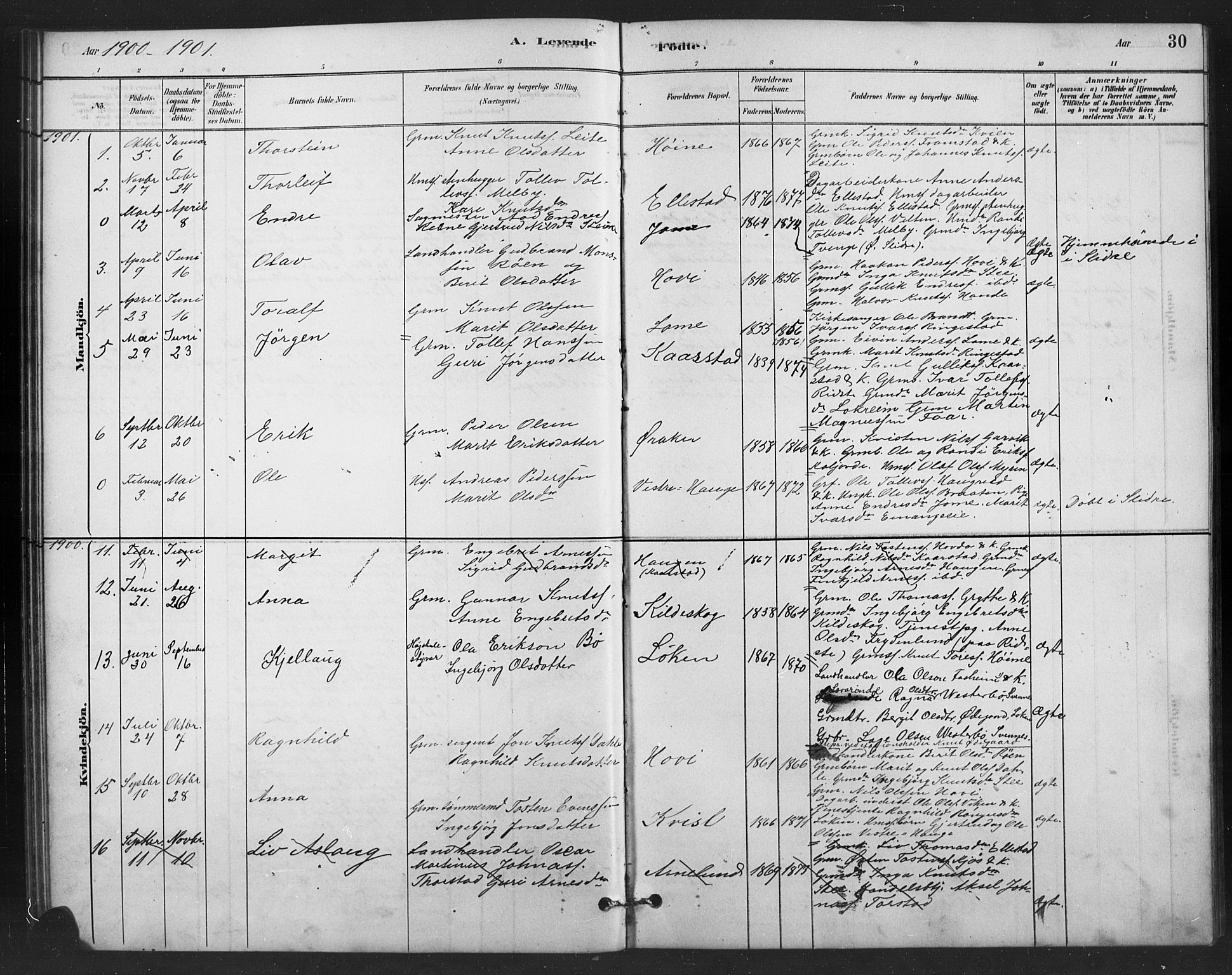 Vestre Slidre prestekontor, SAH/PREST-136/H/Ha/Hab/L0006: Parish register (copy) no. 6, 1881-1915, p. 30