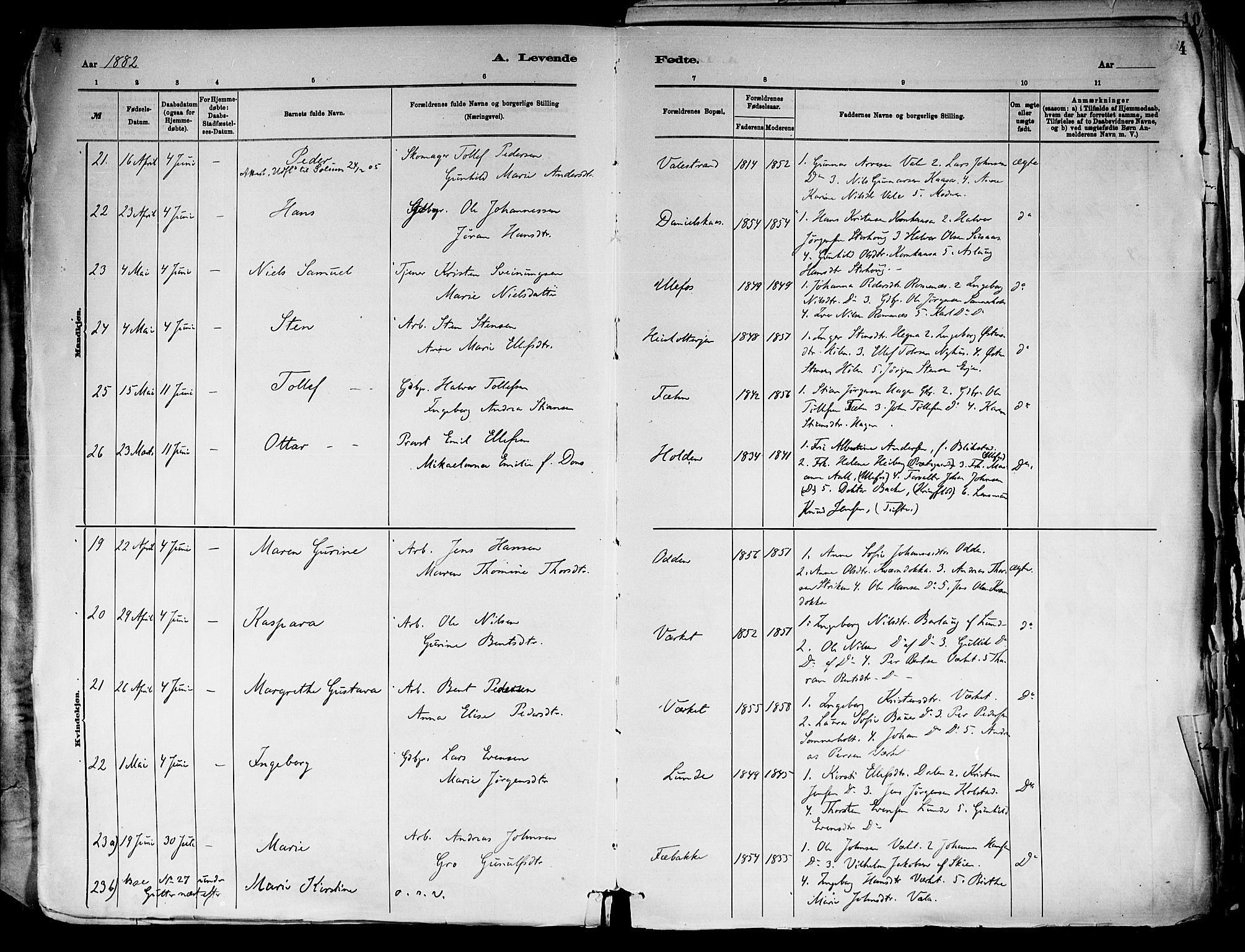 Holla kirkebøker, AV/SAKO-A-272/F/Fa/L0008: Parish register (official) no. 8, 1882-1897, p. 4