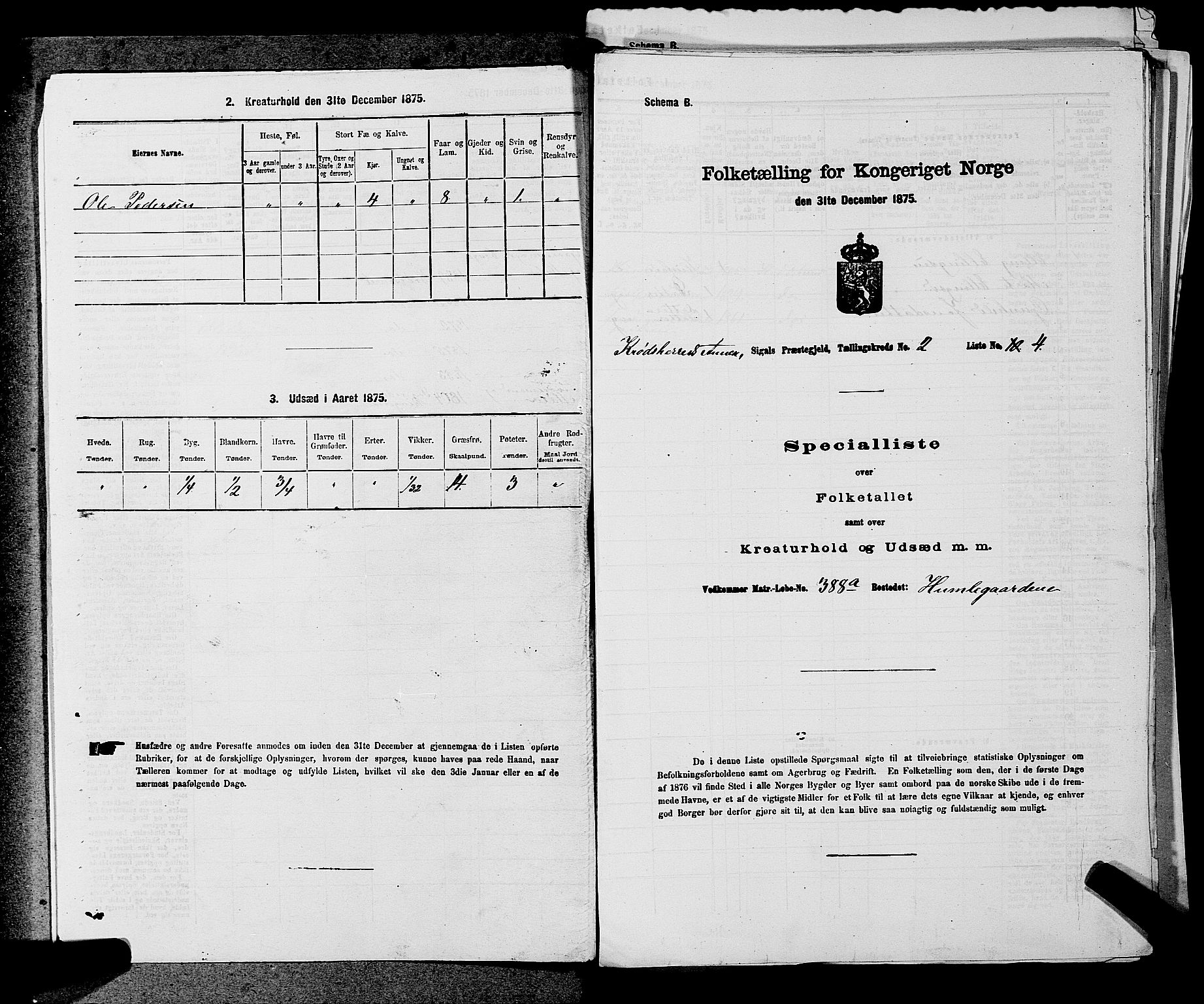 SAKO, 1875 census for 0621P Sigdal, 1875, p. 1342