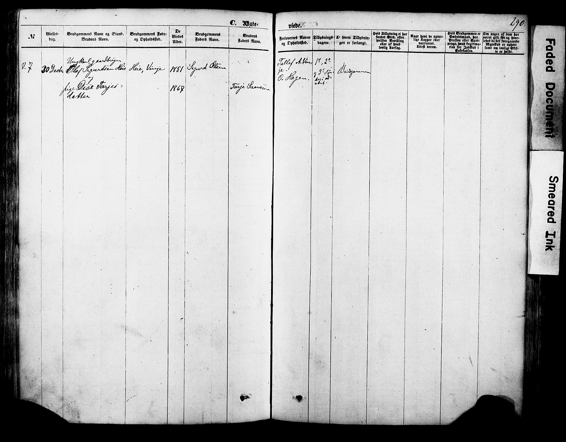 Vinje kirkebøker, AV/SAKO-A-312/F/Fa/L0005: Parish register (official) no. I 5, 1870-1886, p. 290