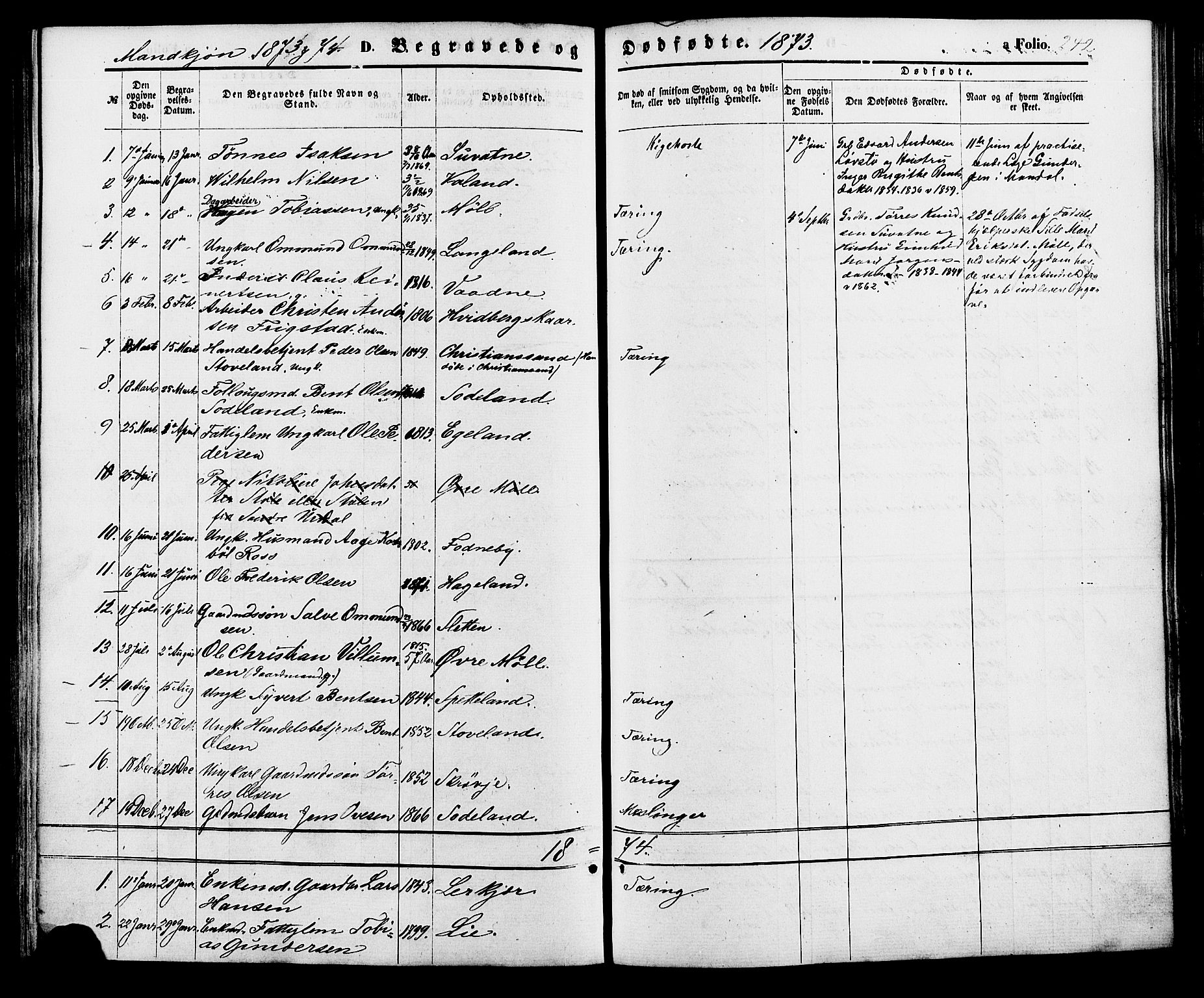 Holum sokneprestkontor, AV/SAK-1111-0022/F/Fa/Faa/L0006: Parish register (official) no. A 6, 1865-1883, p. 242