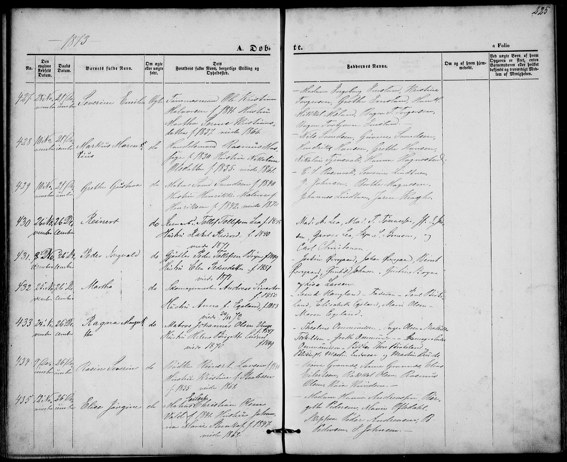 St. Petri sokneprestkontor, AV/SAST-A-101813/001/30/30BA/L0008: Parish register (official) no. A 8, 1868-1876, p. 225