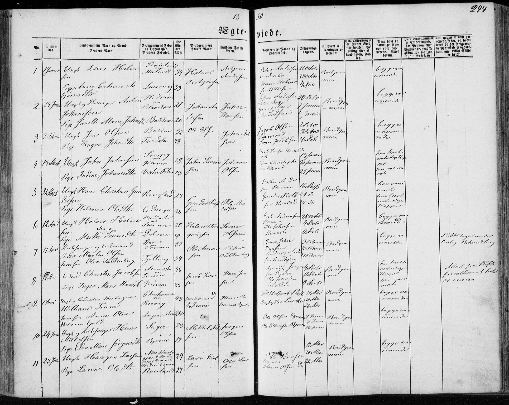 Brunlanes kirkebøker, AV/SAKO-A-342/F/Fa/L0004: Parish register (official) no. I 4, 1846-1862, p. 244