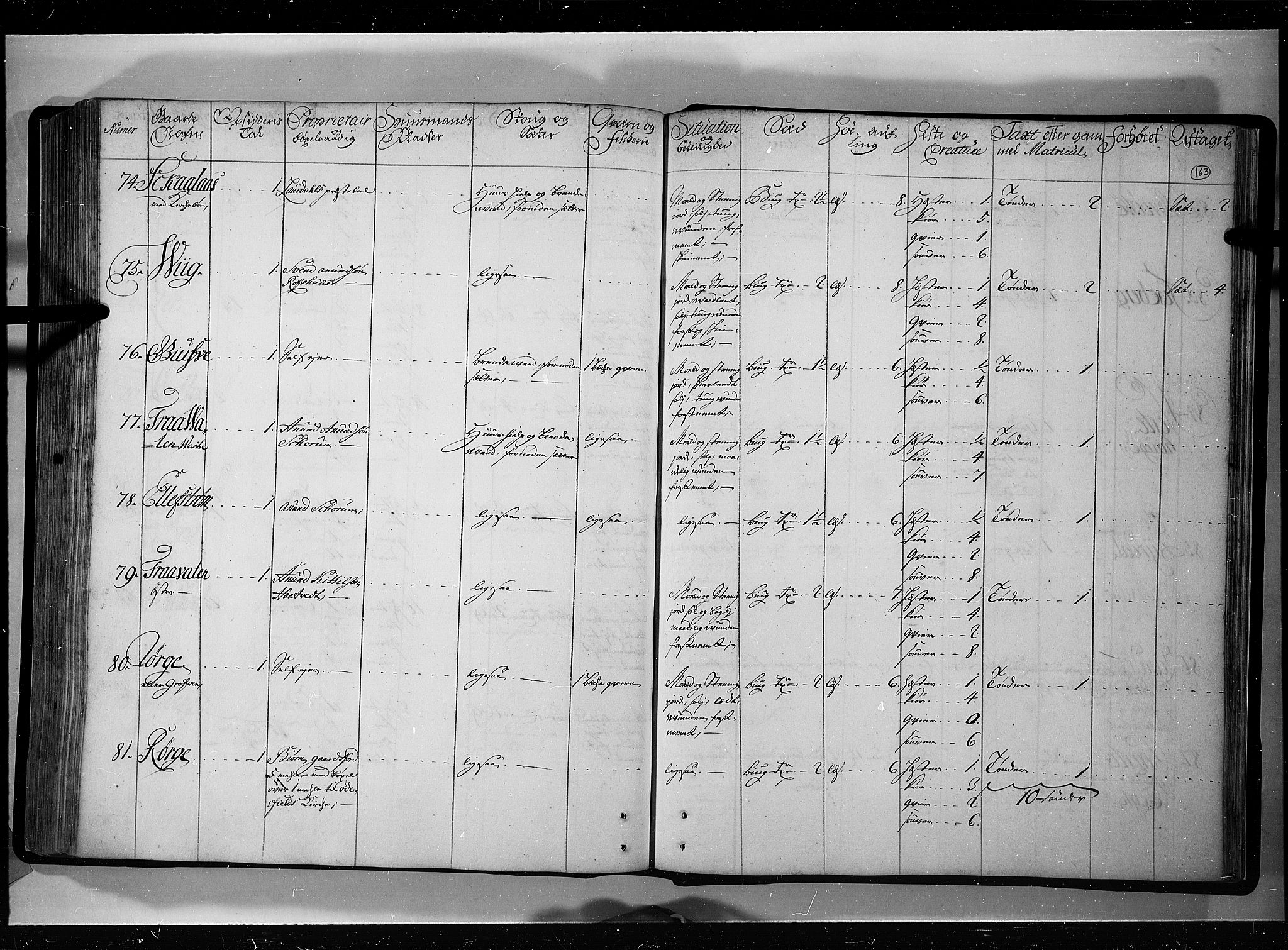 Rentekammeret inntil 1814, Realistisk ordnet avdeling, AV/RA-EA-4070/N/Nb/Nbf/L0121: Øvre og Nedre Telemark eksaminasjonsprotokoll, 1723, p. 162b-163a