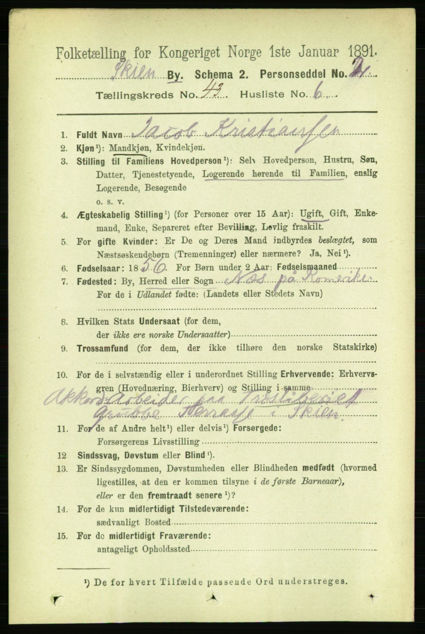 RA, 1891 census for 0806 Skien, 1891, p. 8617