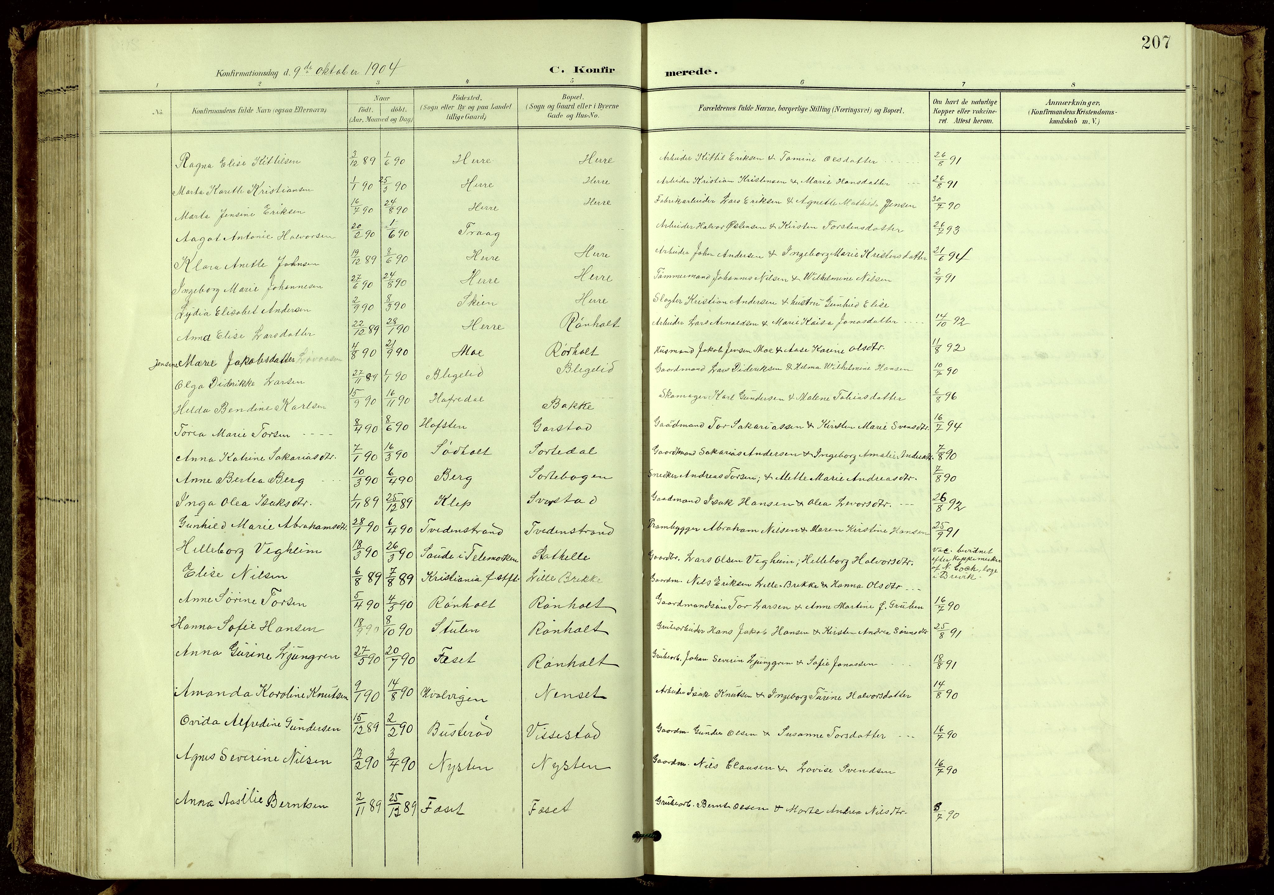 Bamble kirkebøker, SAKO/A-253/G/Ga/L0010: Parish register (copy) no. I 10, 1901-1919, p. 207