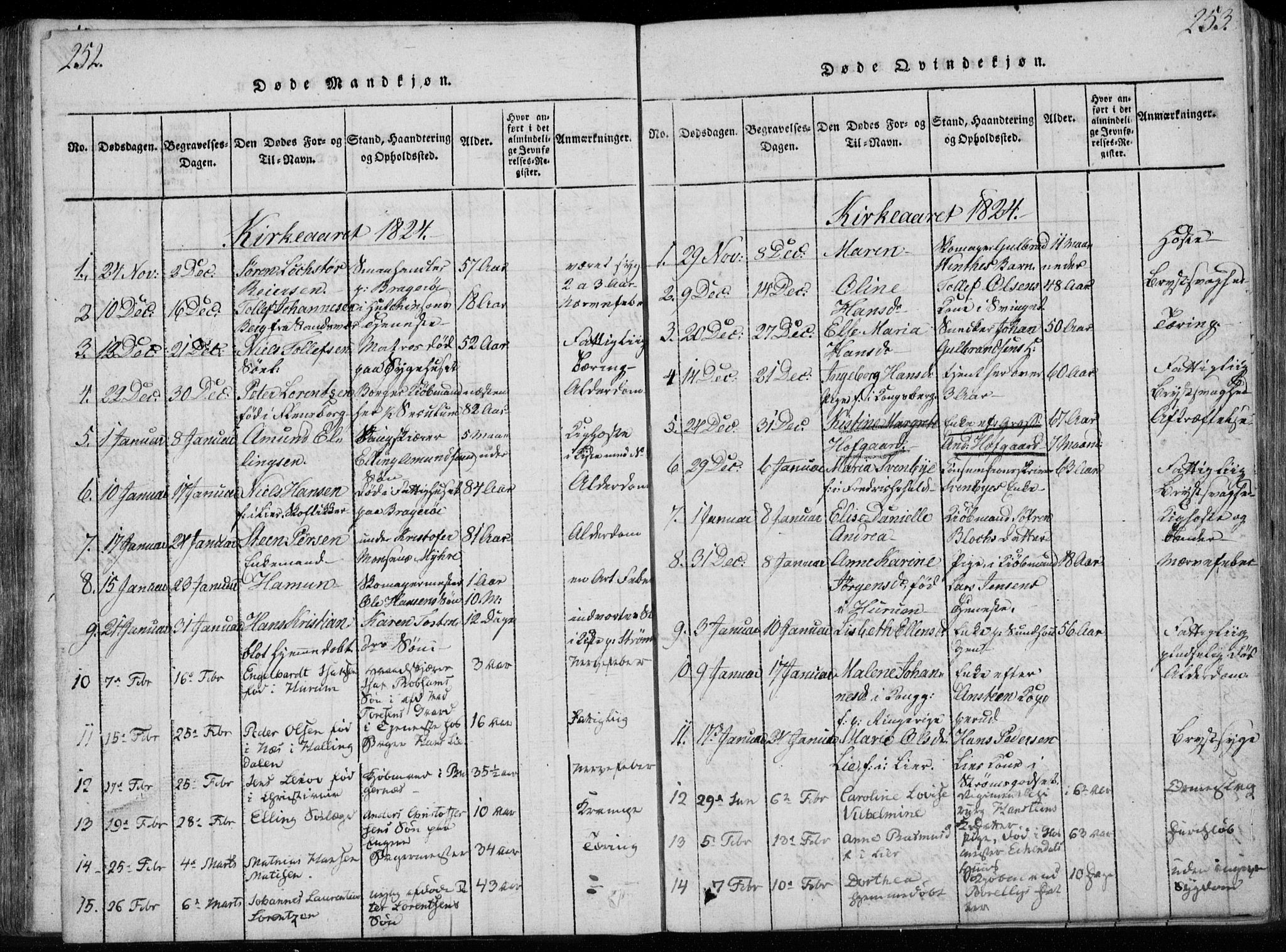 Bragernes kirkebøker, SAKO/A-6/F/Fa/L0007: Parish register (official) no. I 7, 1815-1829, p. 252-253