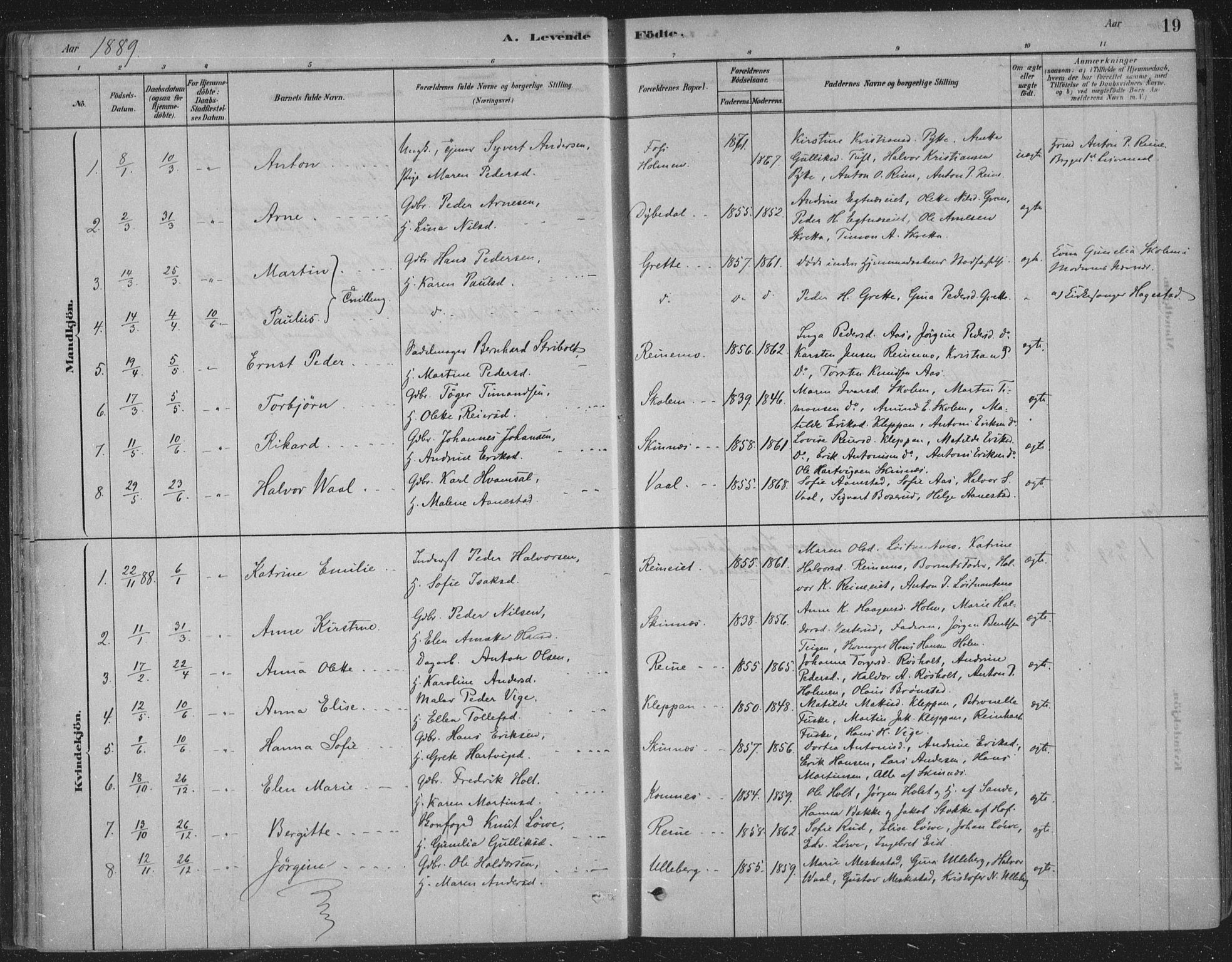 Sandsvær kirkebøker, AV/SAKO-A-244/F/Fe/L0001: Parish register (official) no. V 1, 1878-1936, p. 19